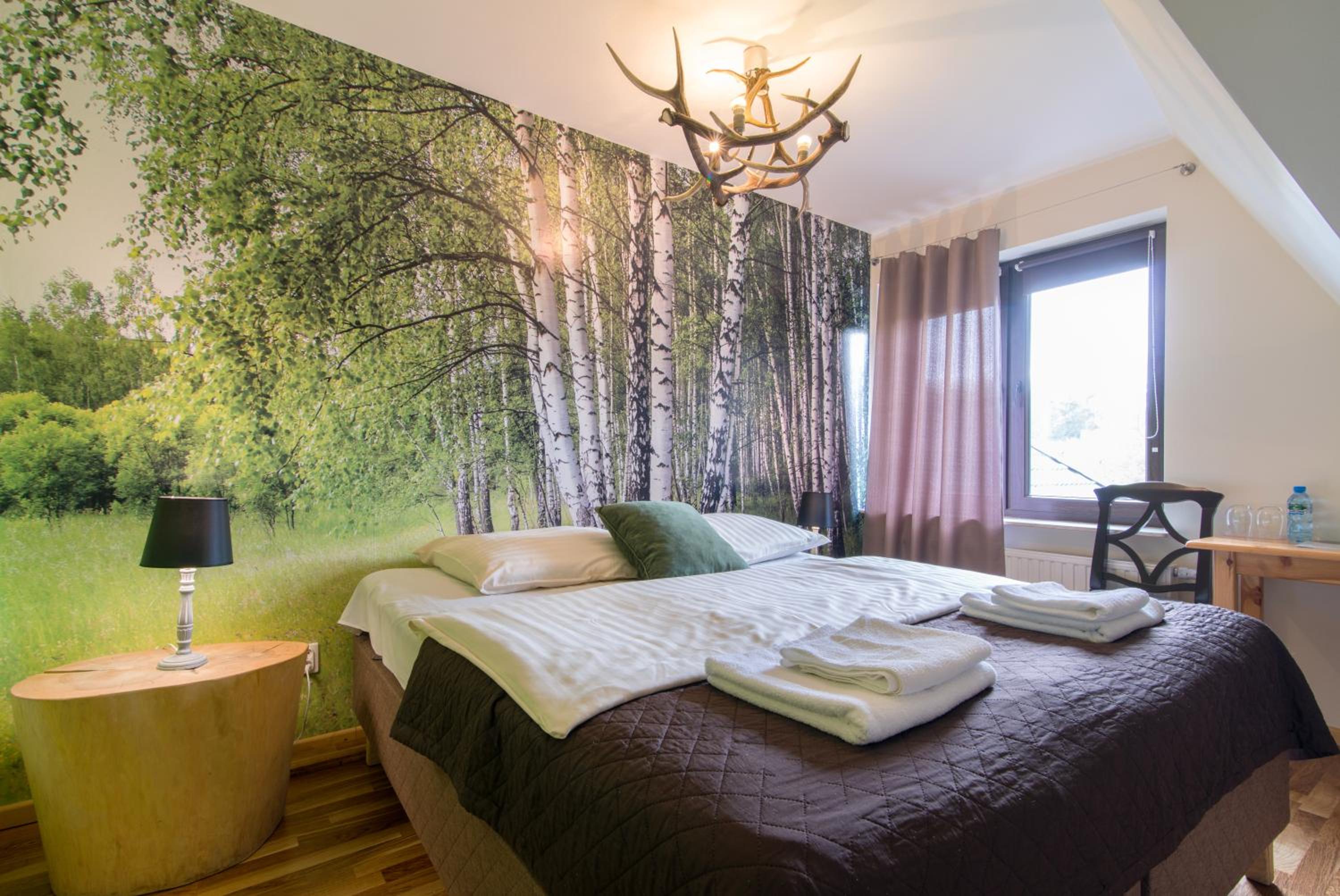 Double or Twin Room - Photo 3