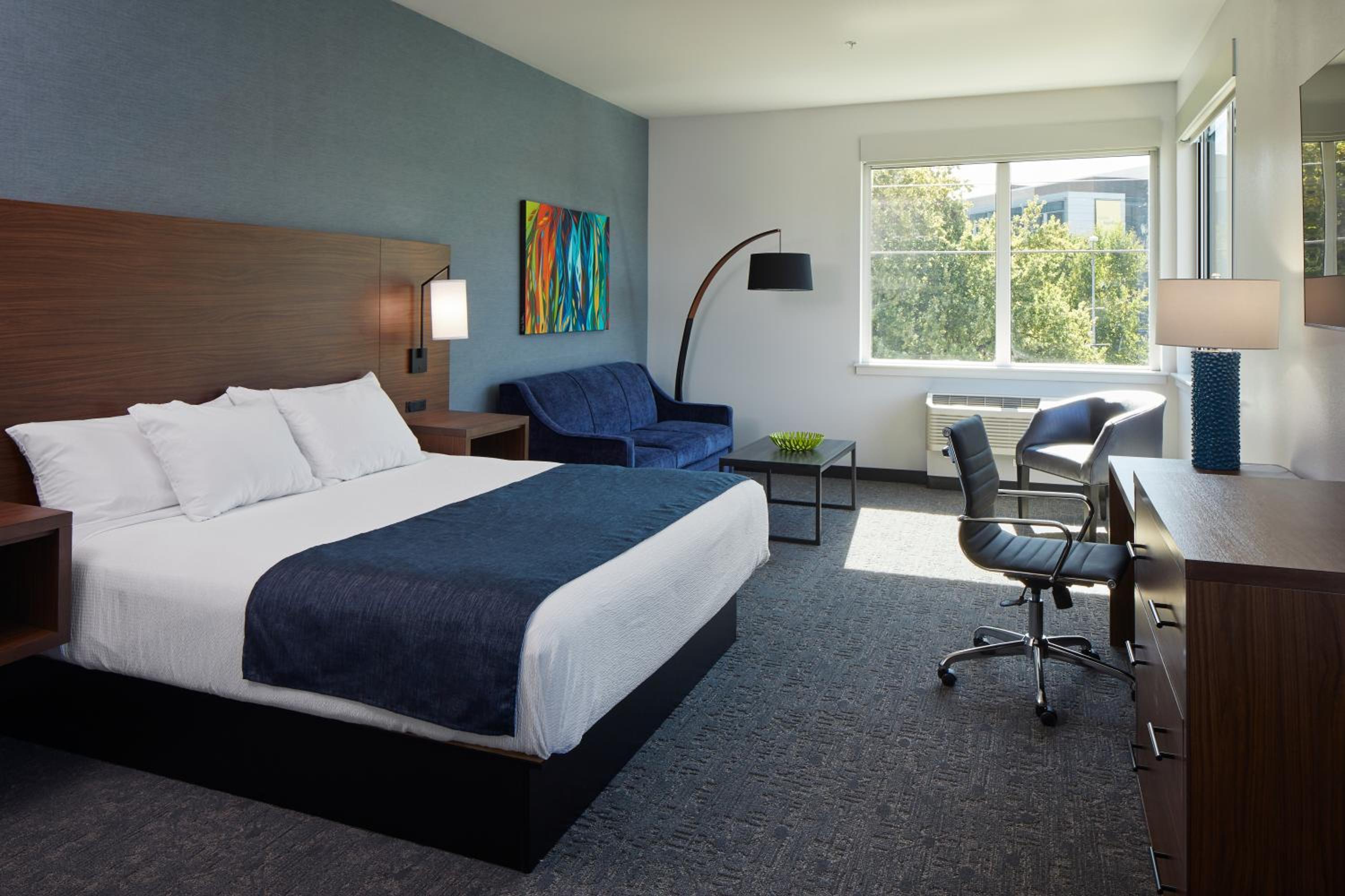 Hayward Building ADA King with Sofa Bed (Disability Access) photo 2
