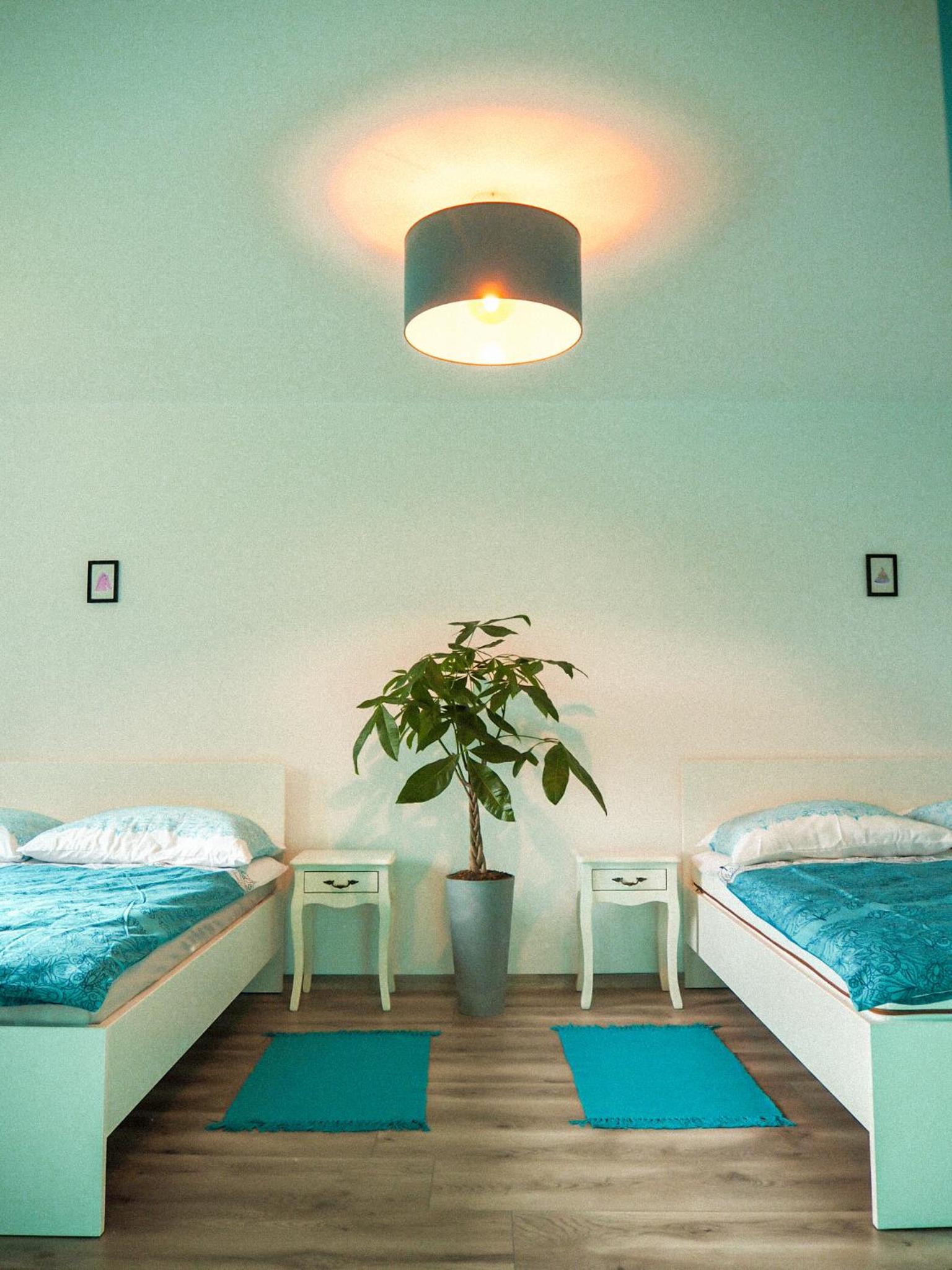 One-Bedroom House photo 3
