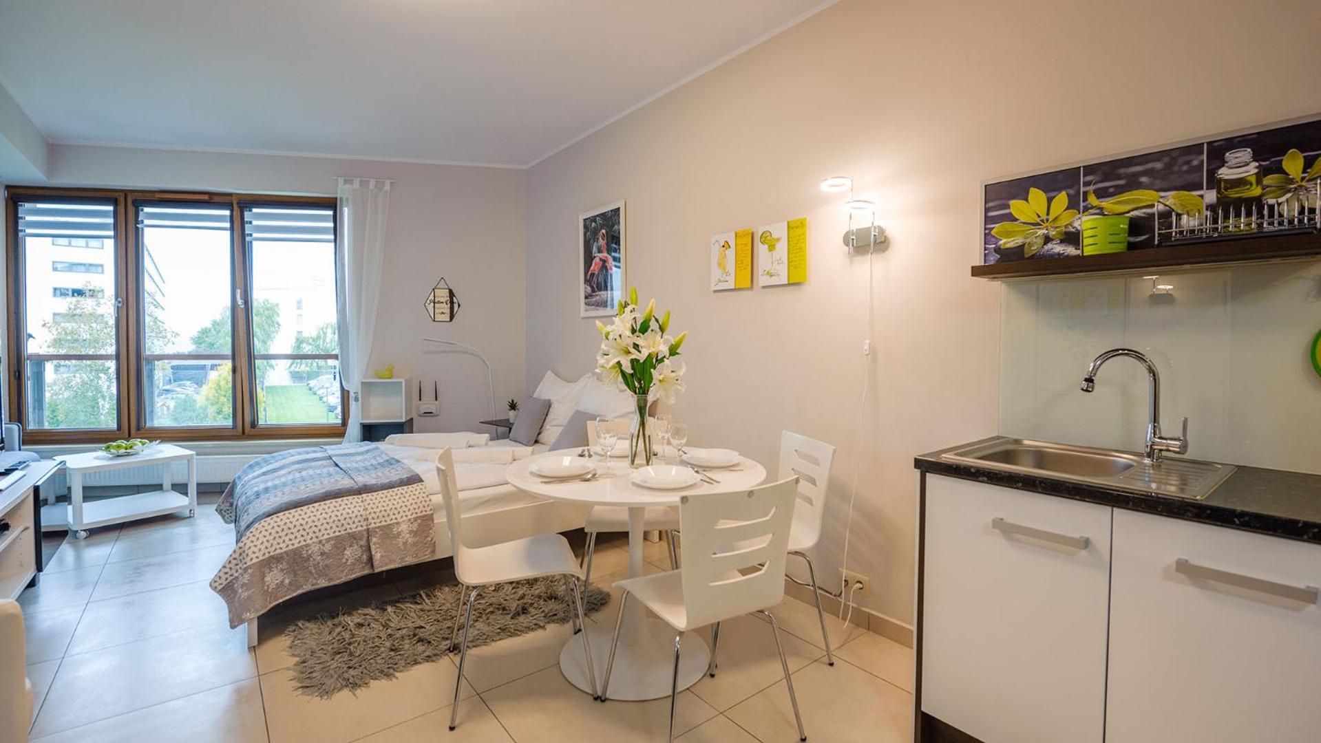 Studio Apartment photo 1
