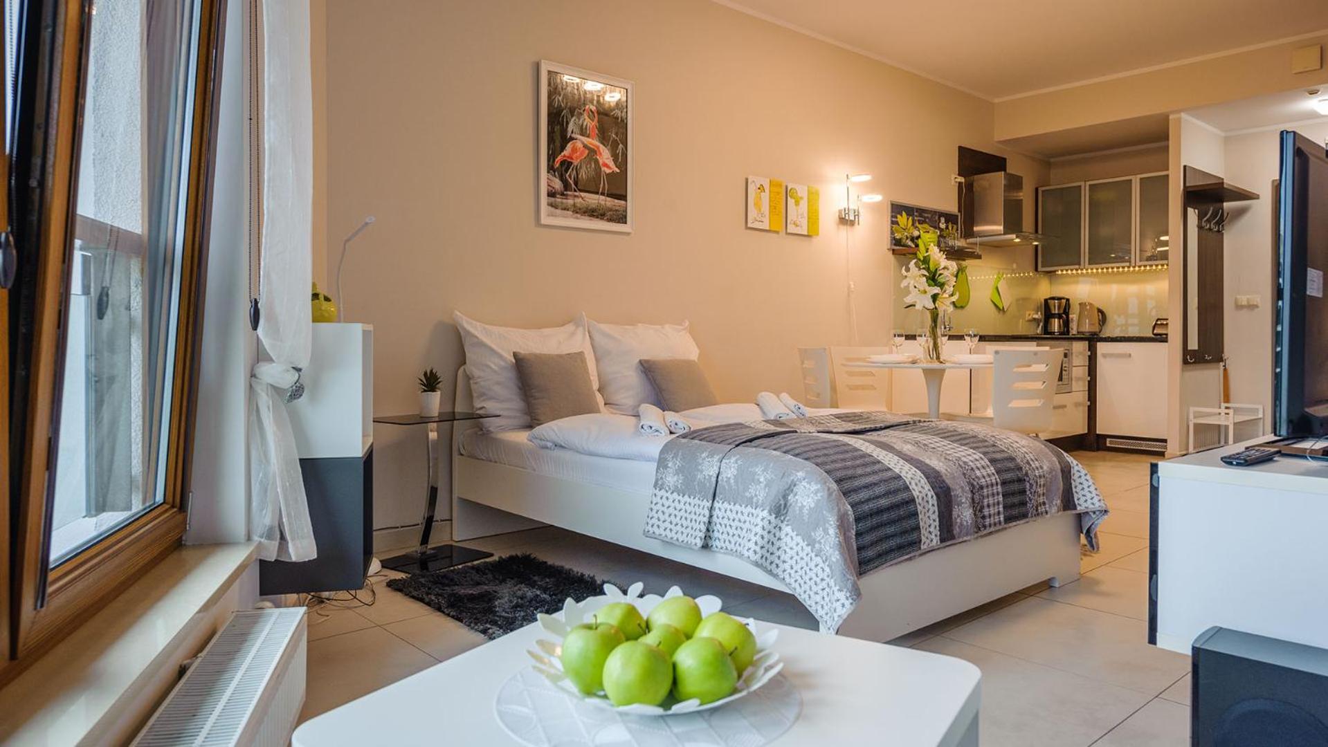 Studio Apartment photo 3