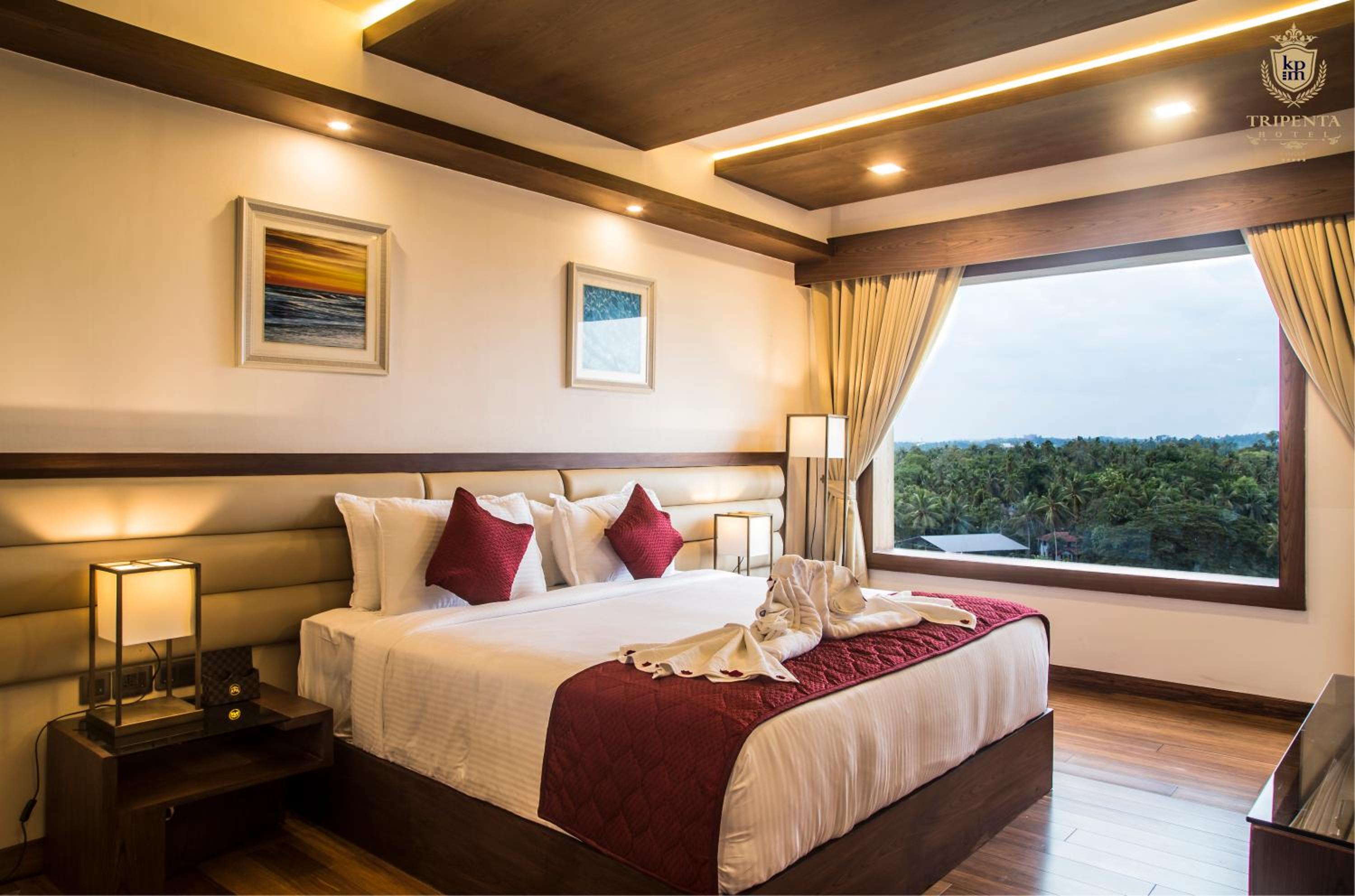  Suite room - Photo 2