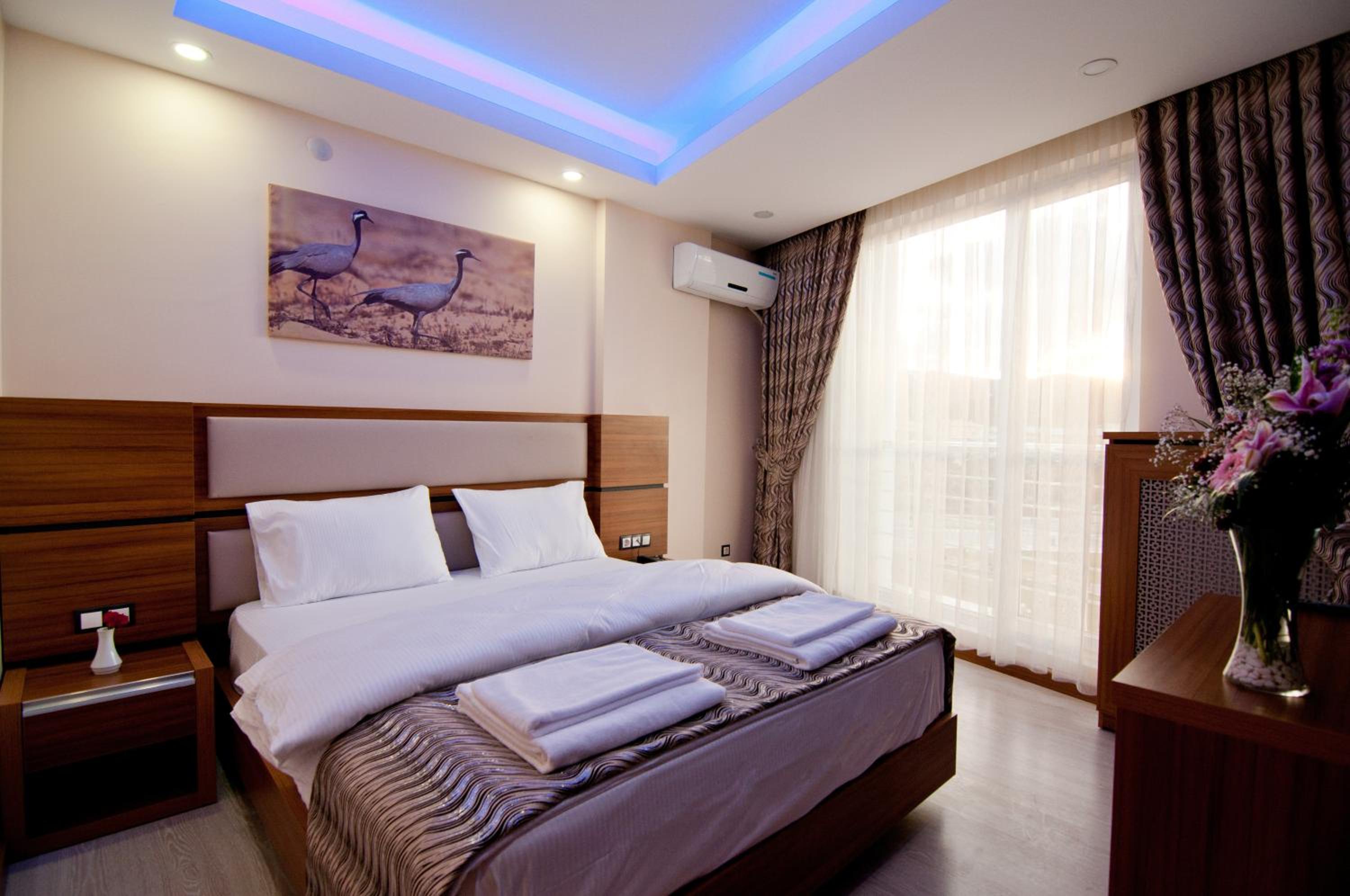 Single Room with Park View photo 2