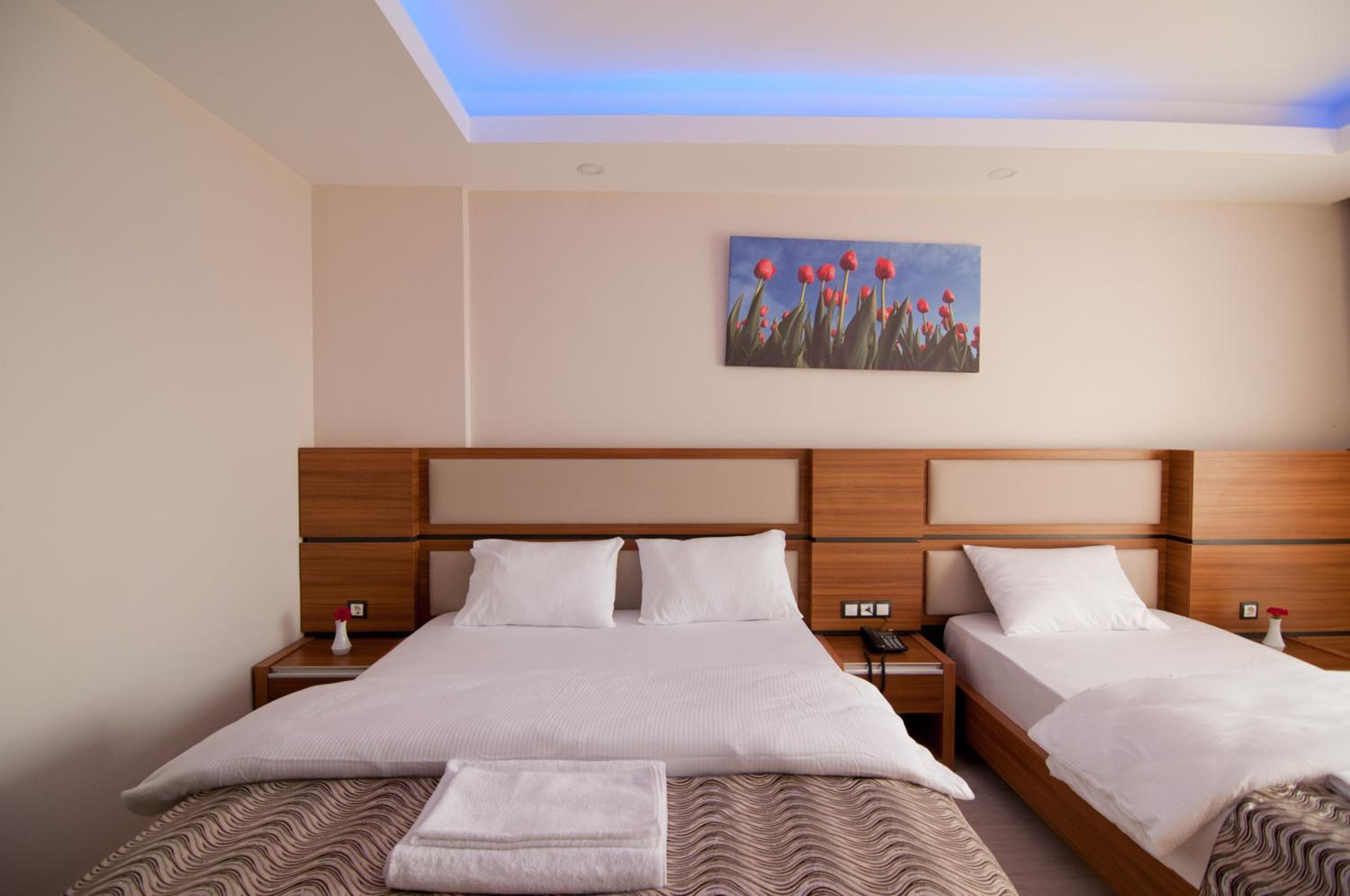 Double or Twin Room with Mountain View photo 3