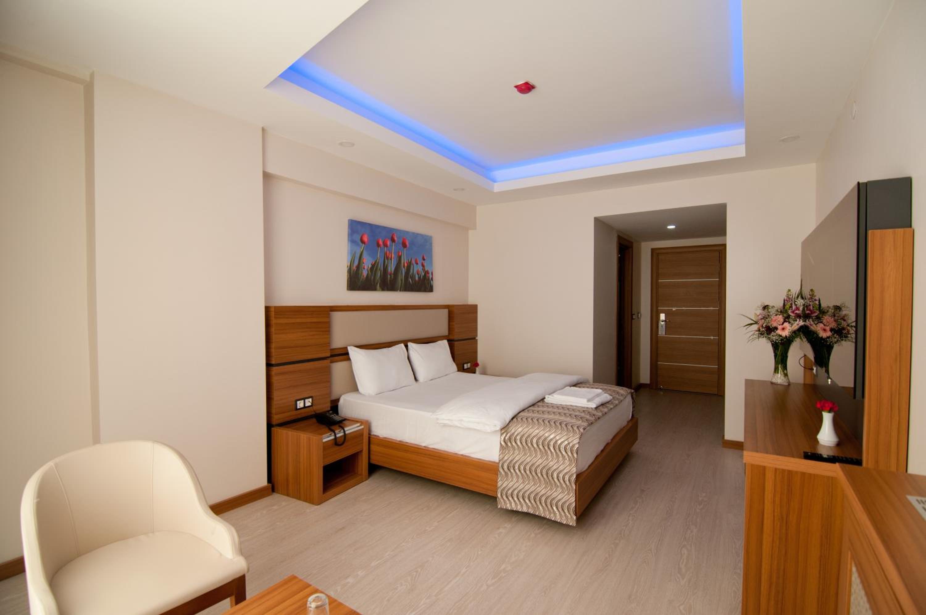 Single Room with Park View photo 3