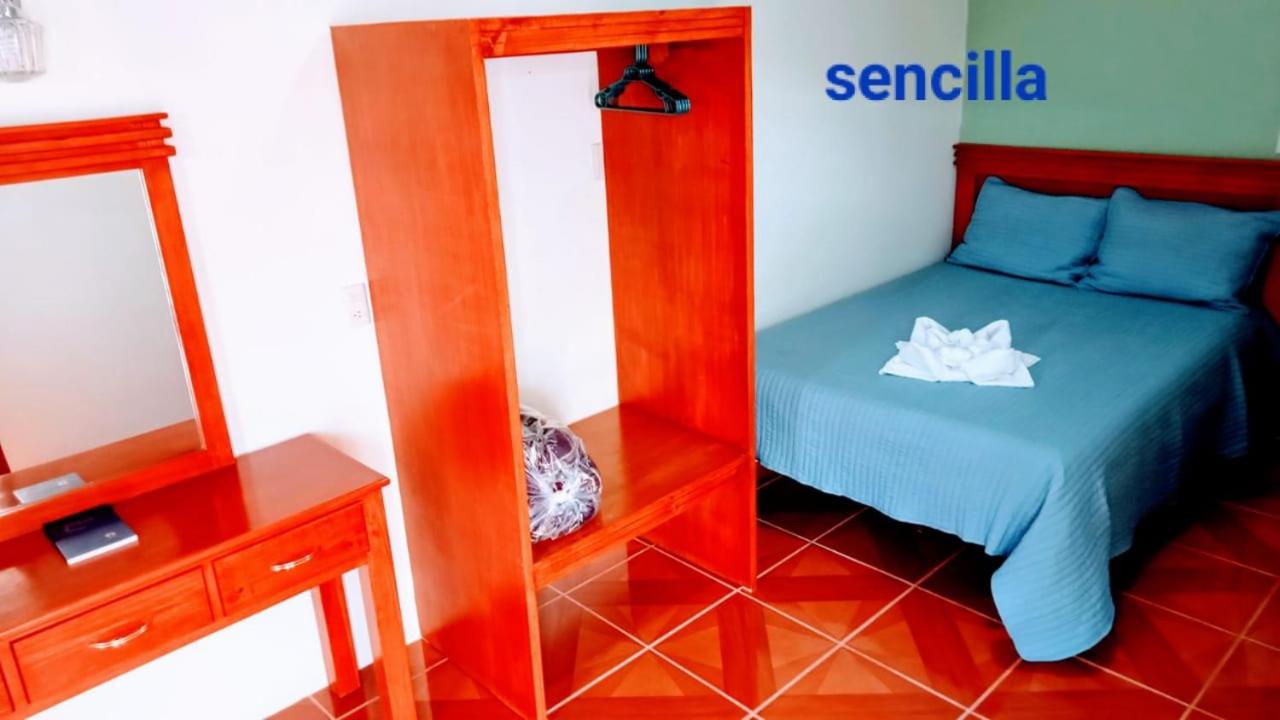 Single Room photo 1