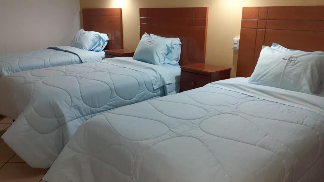 Triple Room photo 3