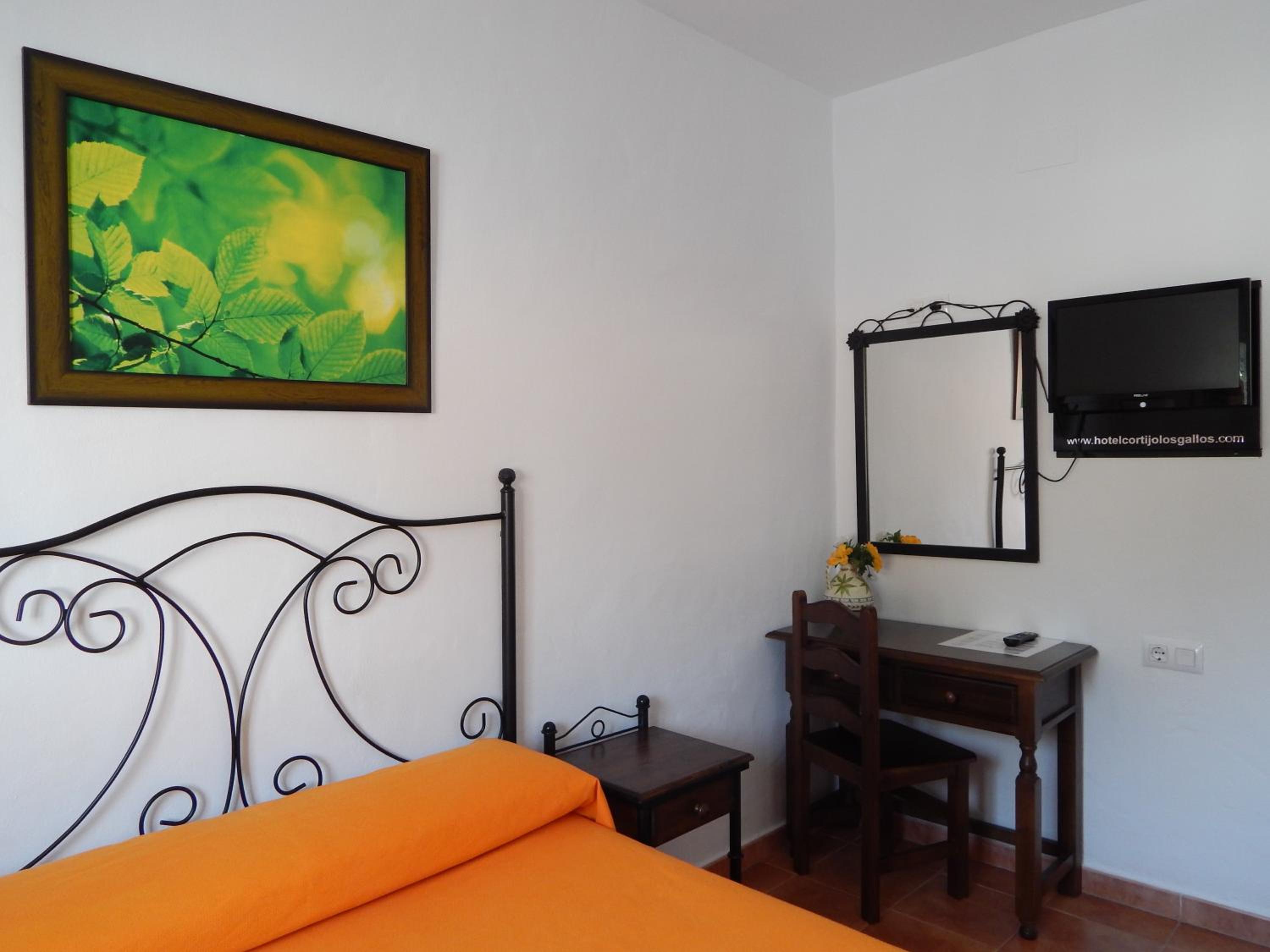 Double or Twin Room photo 3