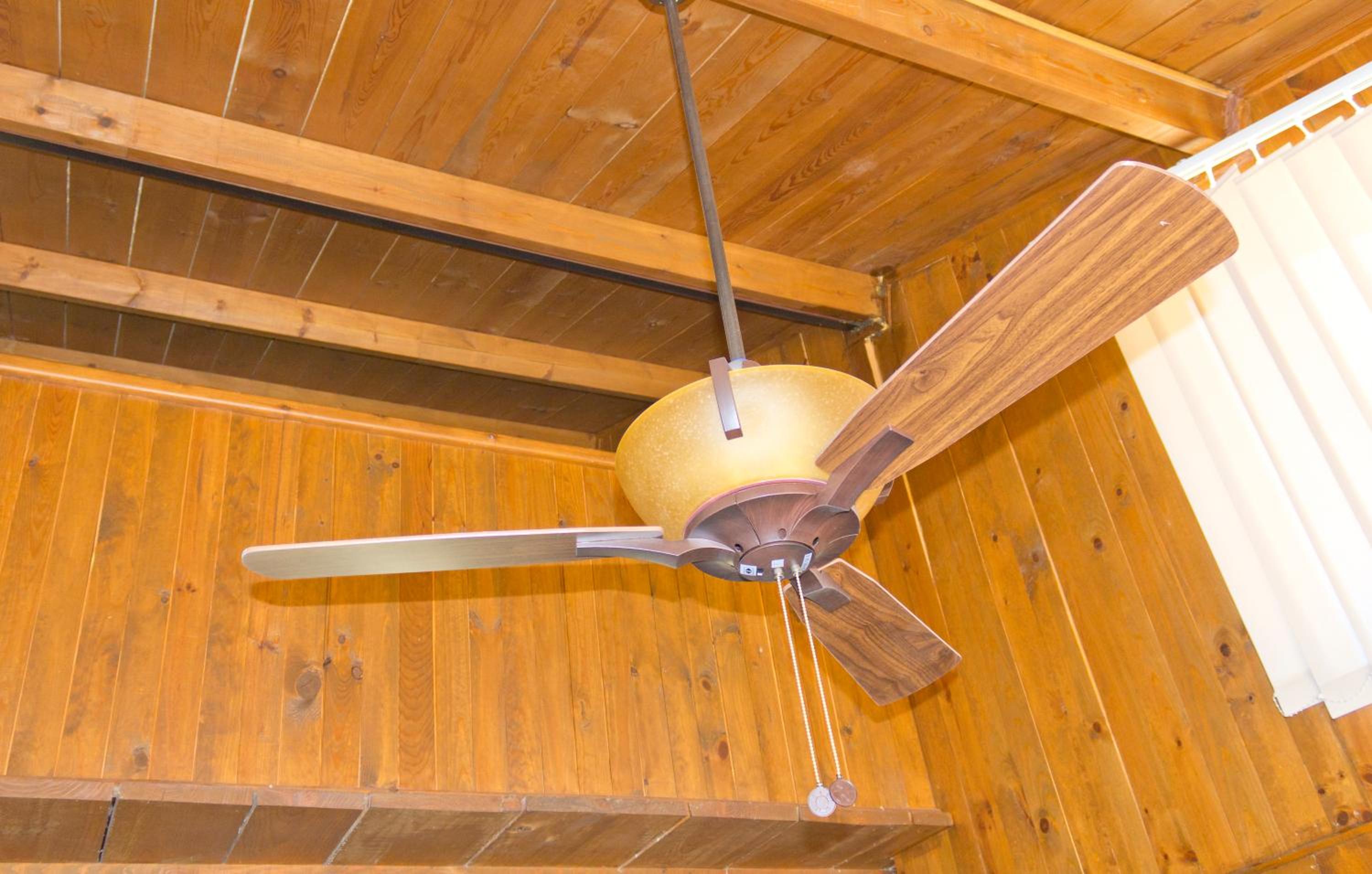 Bungalow (2 Adults) photo 3