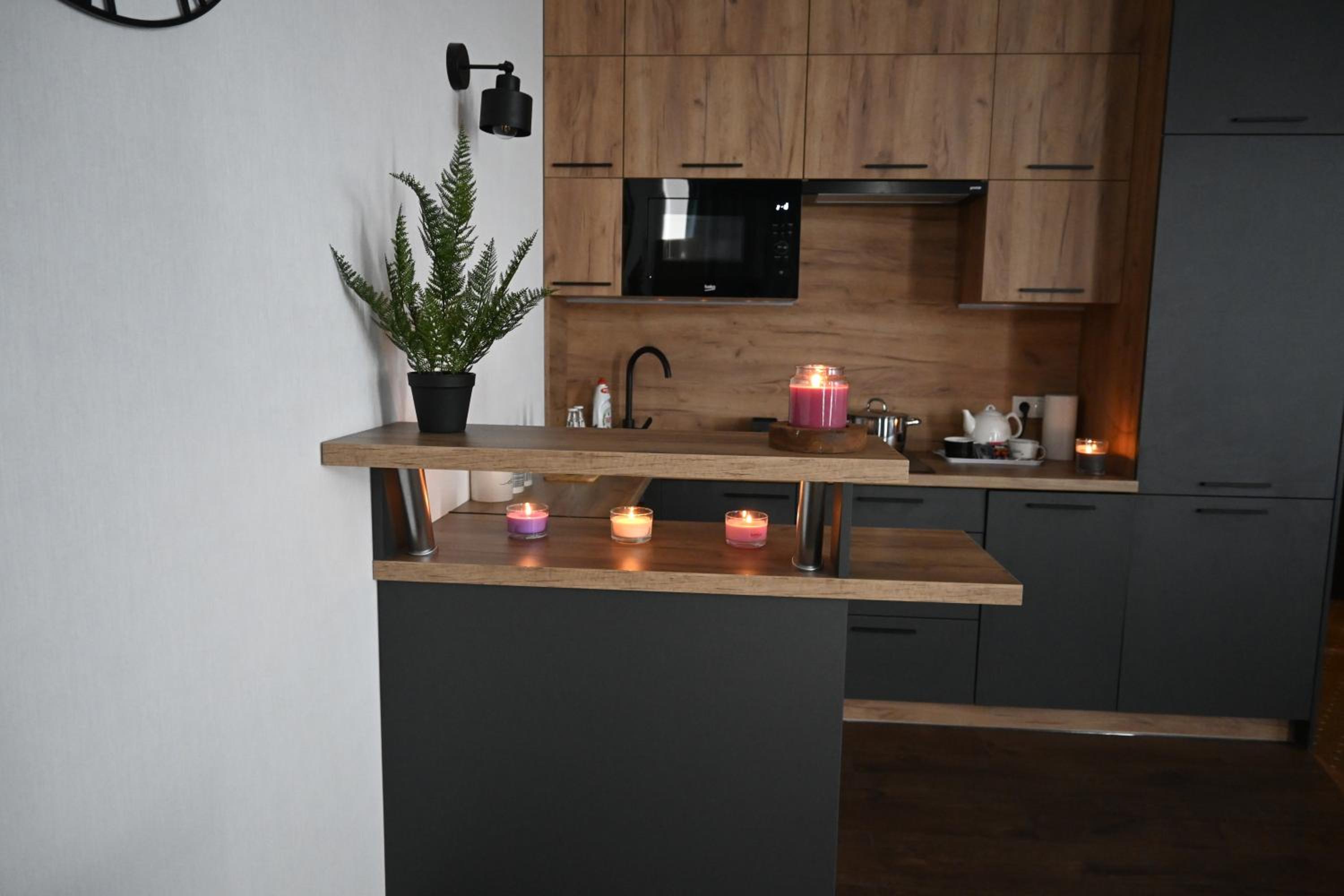 Studio Apartment - Photo 2