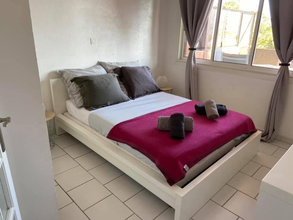 One-Bedroom Apartment with Large Terrace photo 3