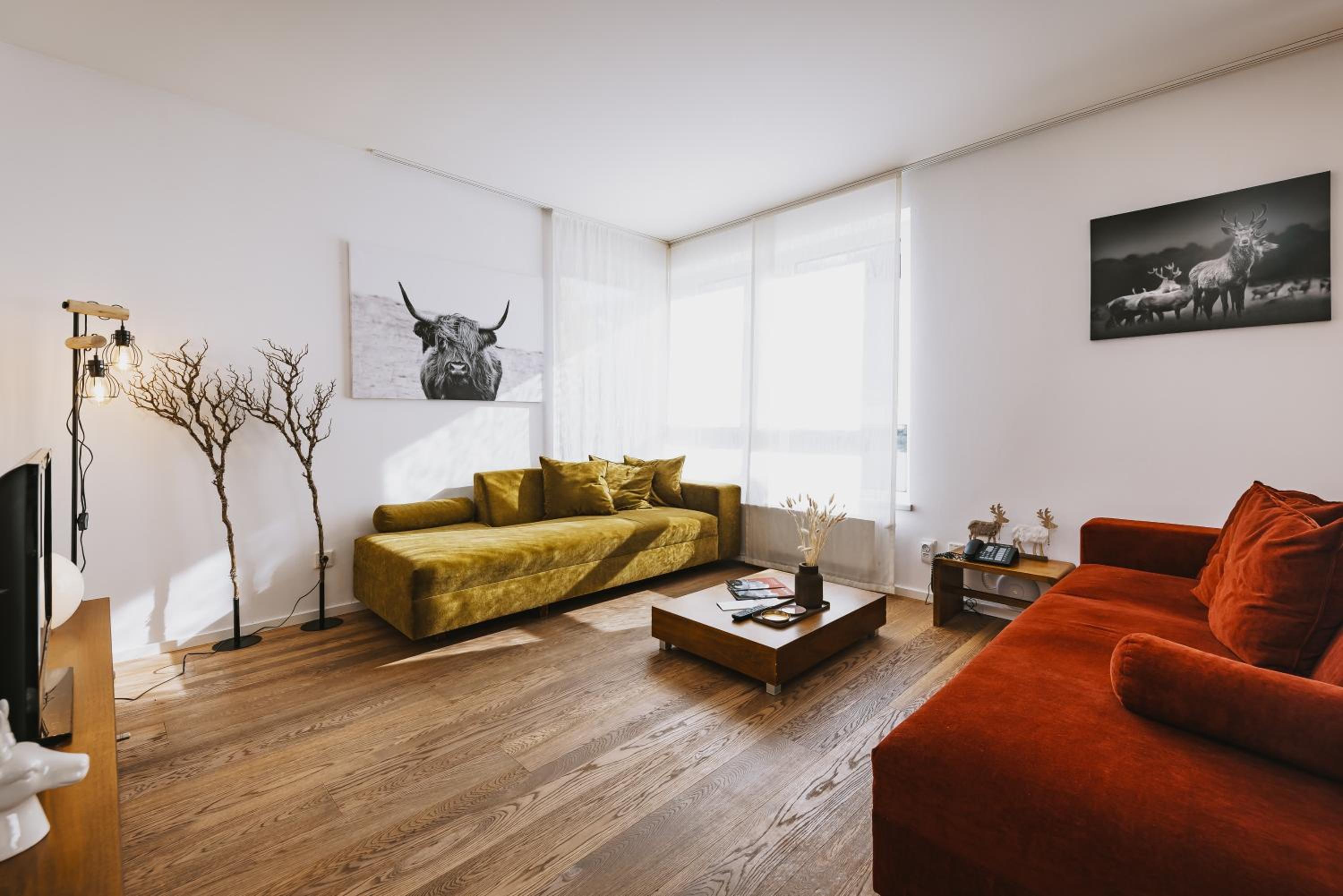 Two-Bedroom Apartment photo 3
