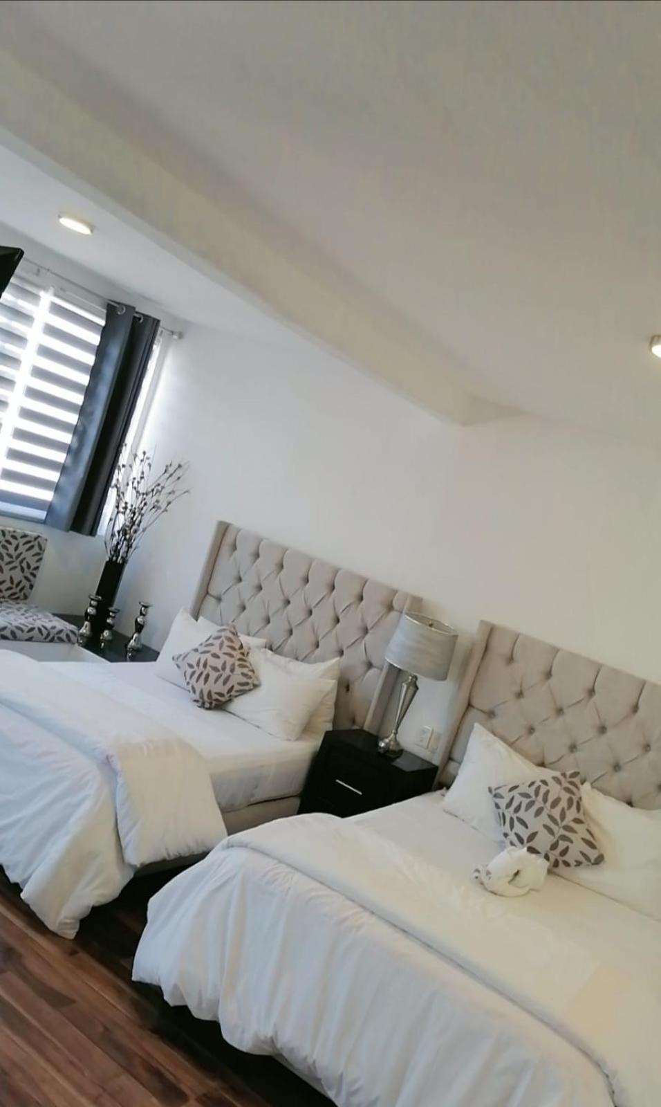 Deluxe Apartment photo 1