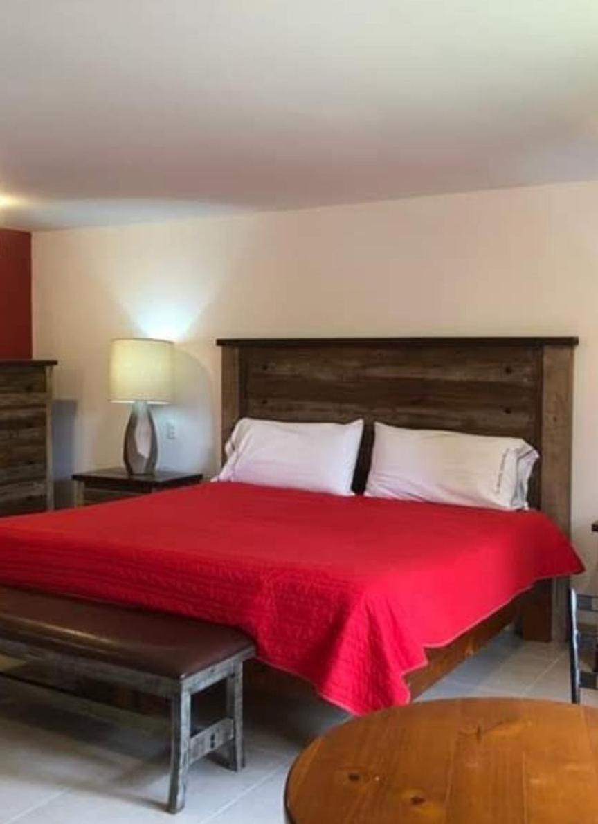 Junior Suite - Photo 4