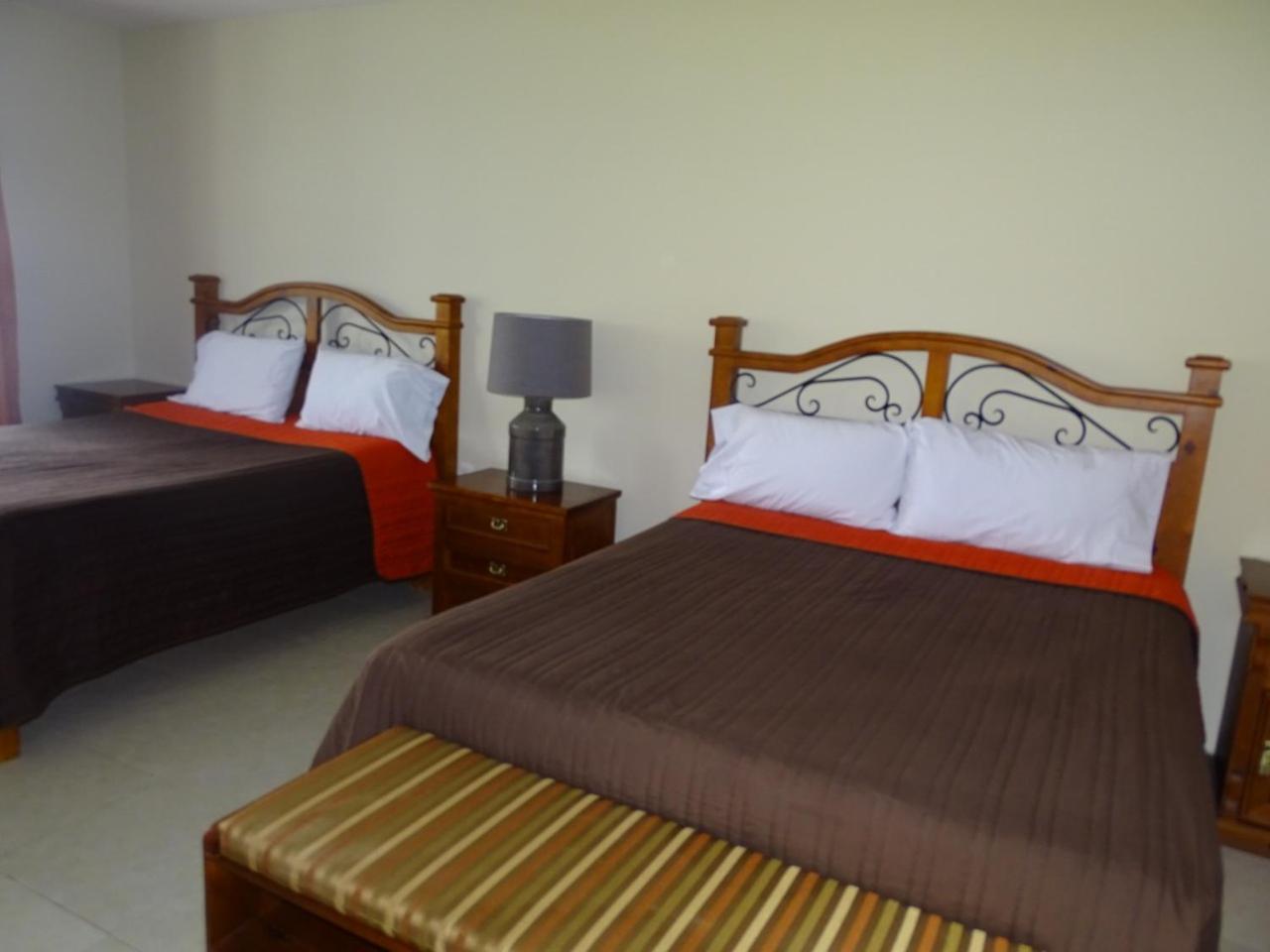 Twin Room - Photo 11