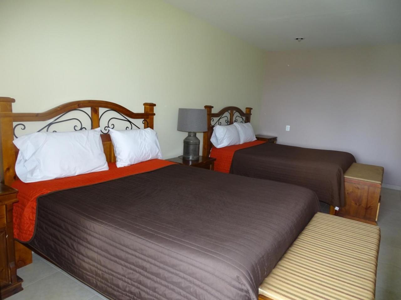 Twin Room - Photo 9