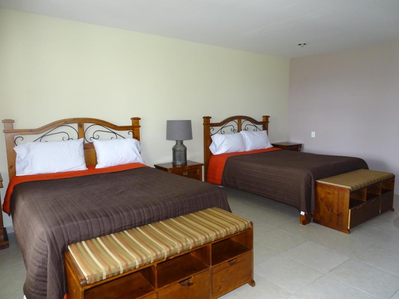 Twin Room - Photo 8
