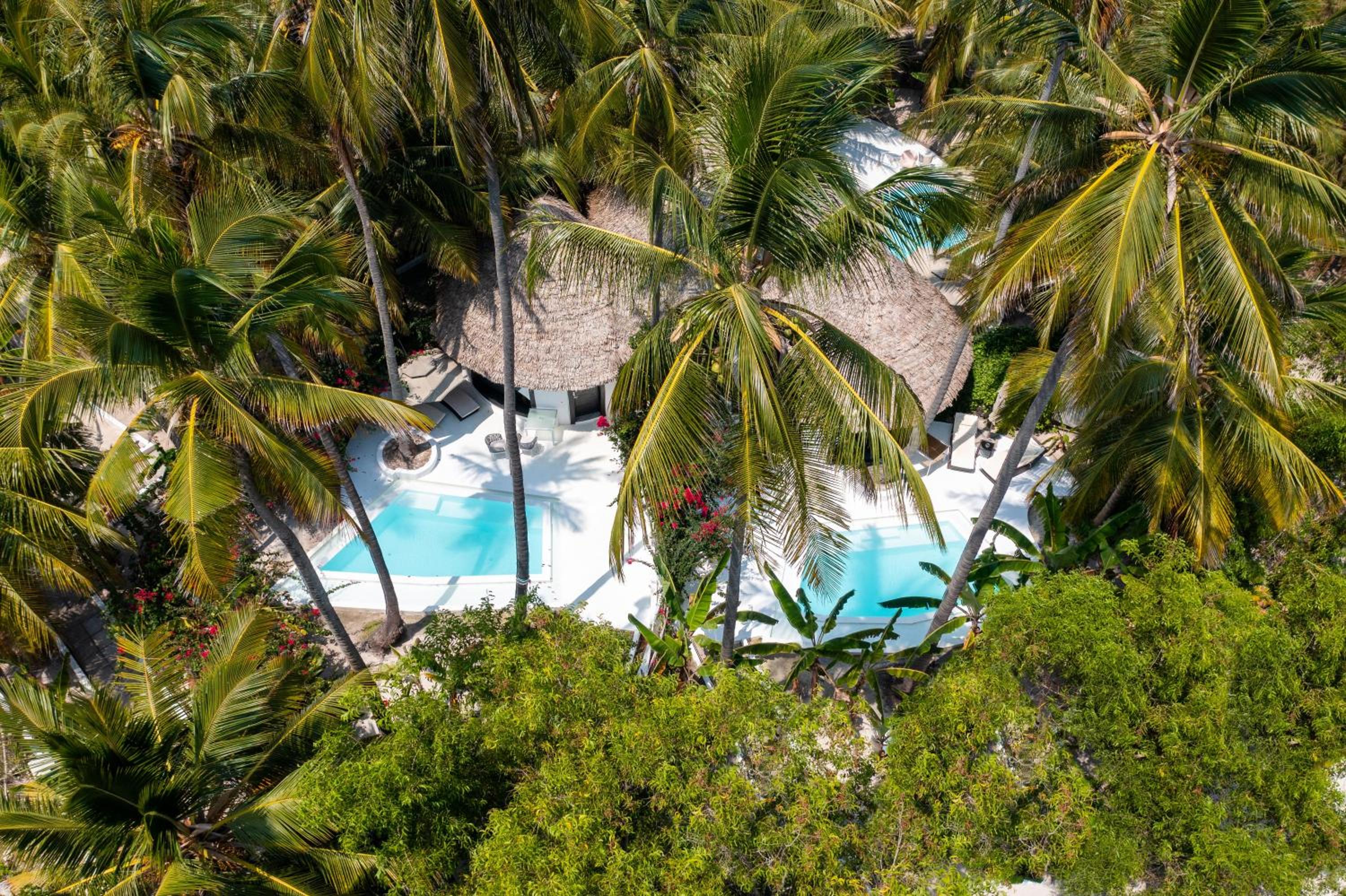 Suite with Private Pool - Photo 6