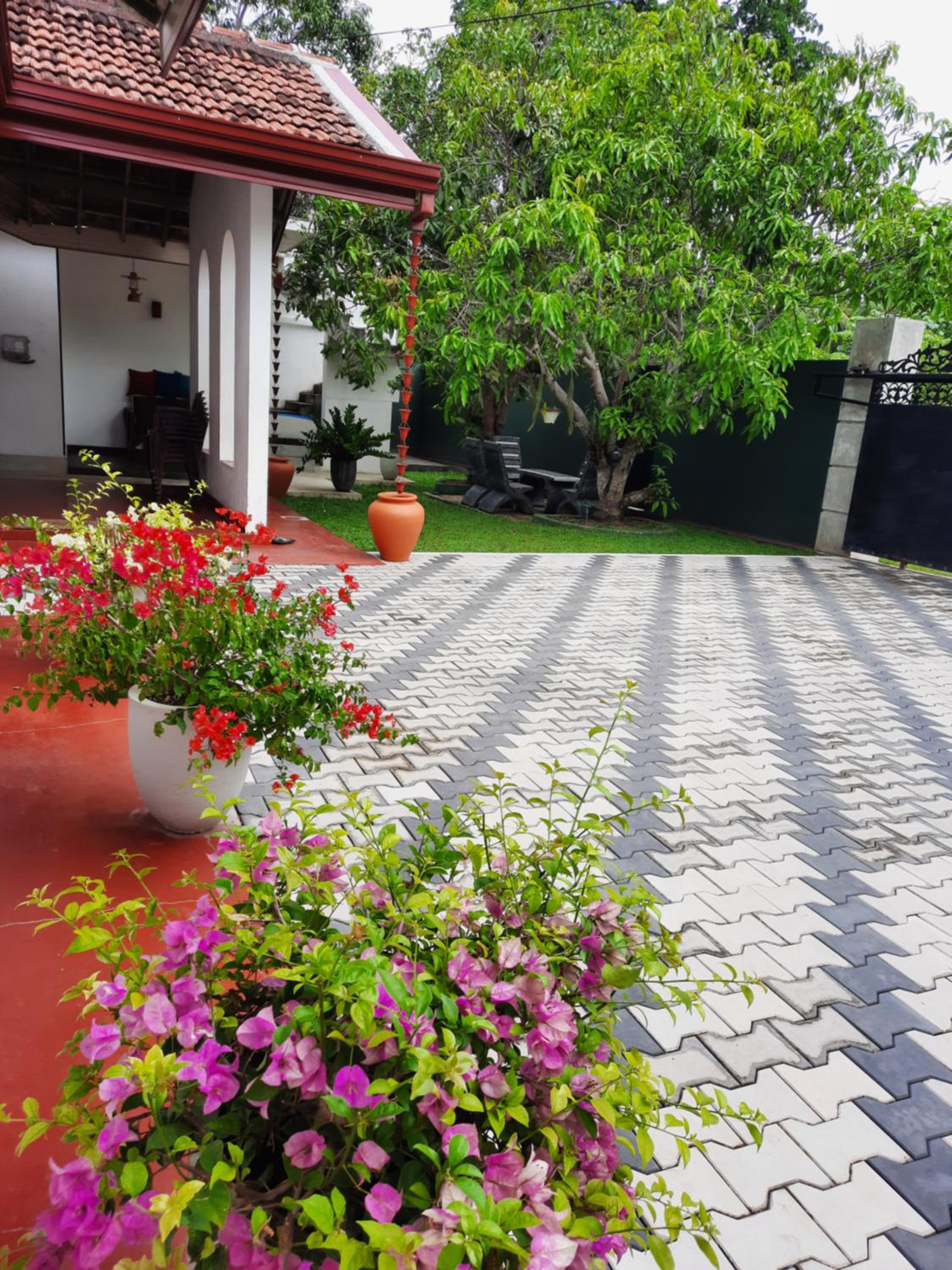 King Room with Garden View photo 3
