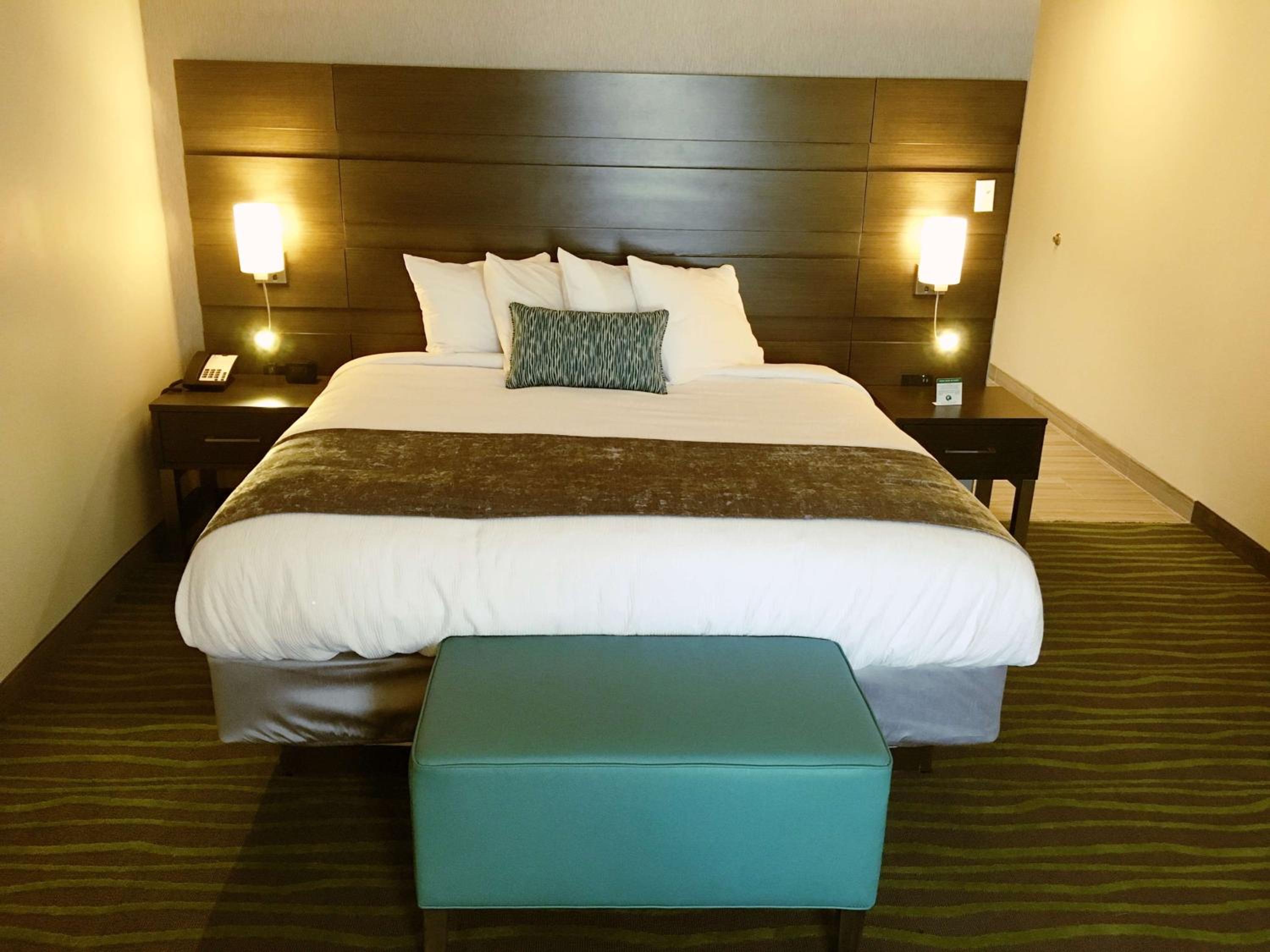 King Suite with Sofa Bed - Non-Smoking photo 3