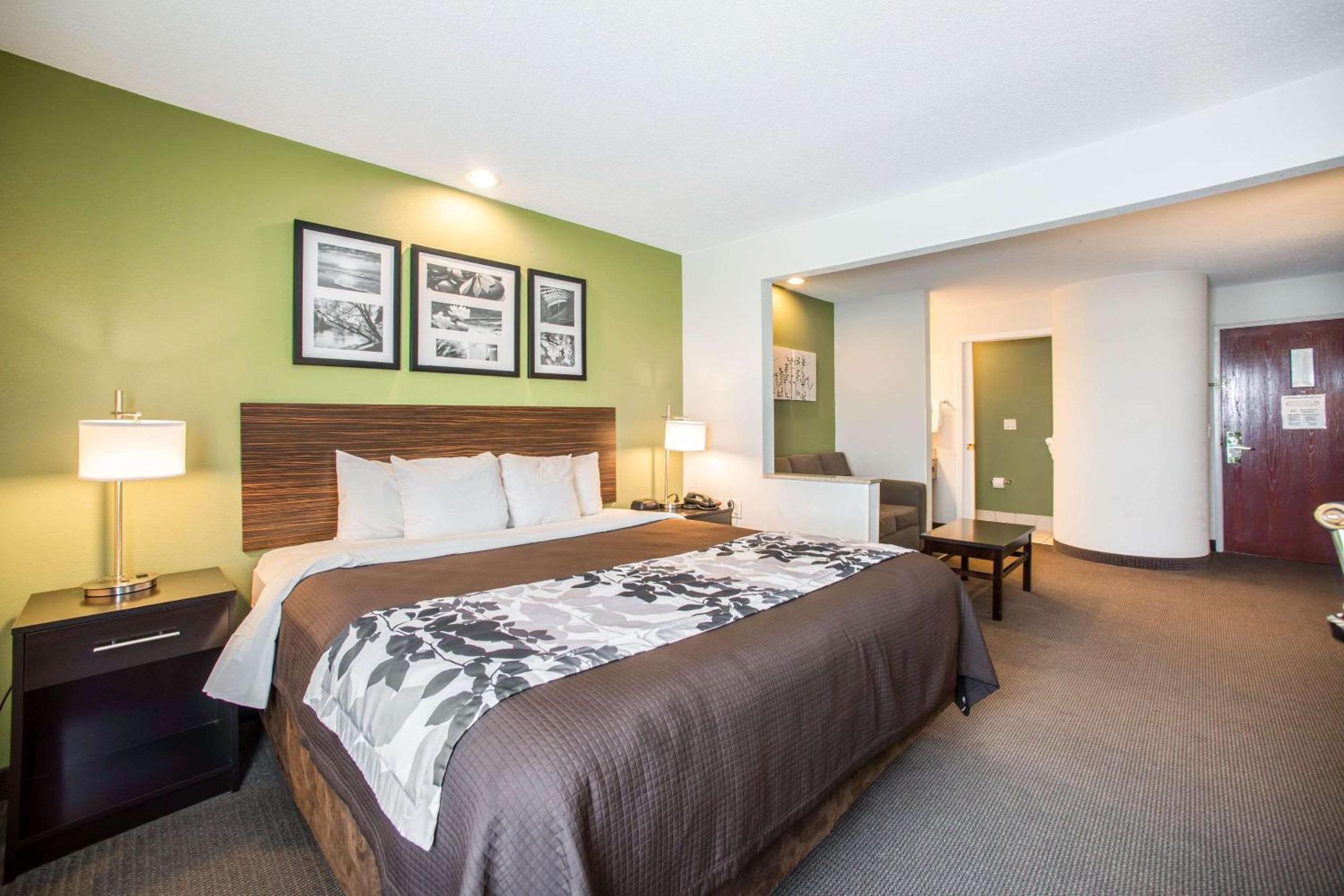 King Suite - Non-Smoking - Photo 1