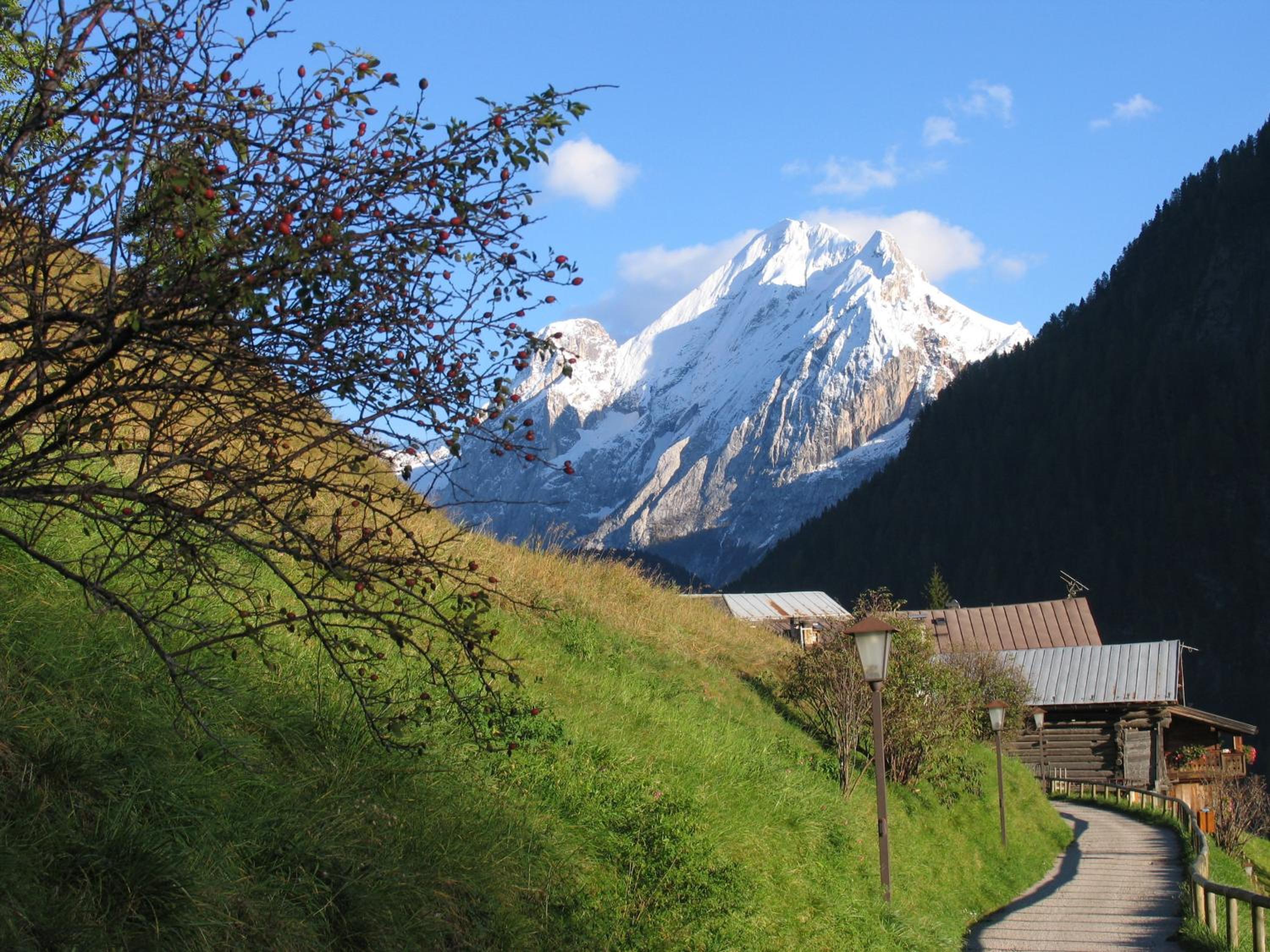 One-Bedroom Apartment with Mountain View photo 3