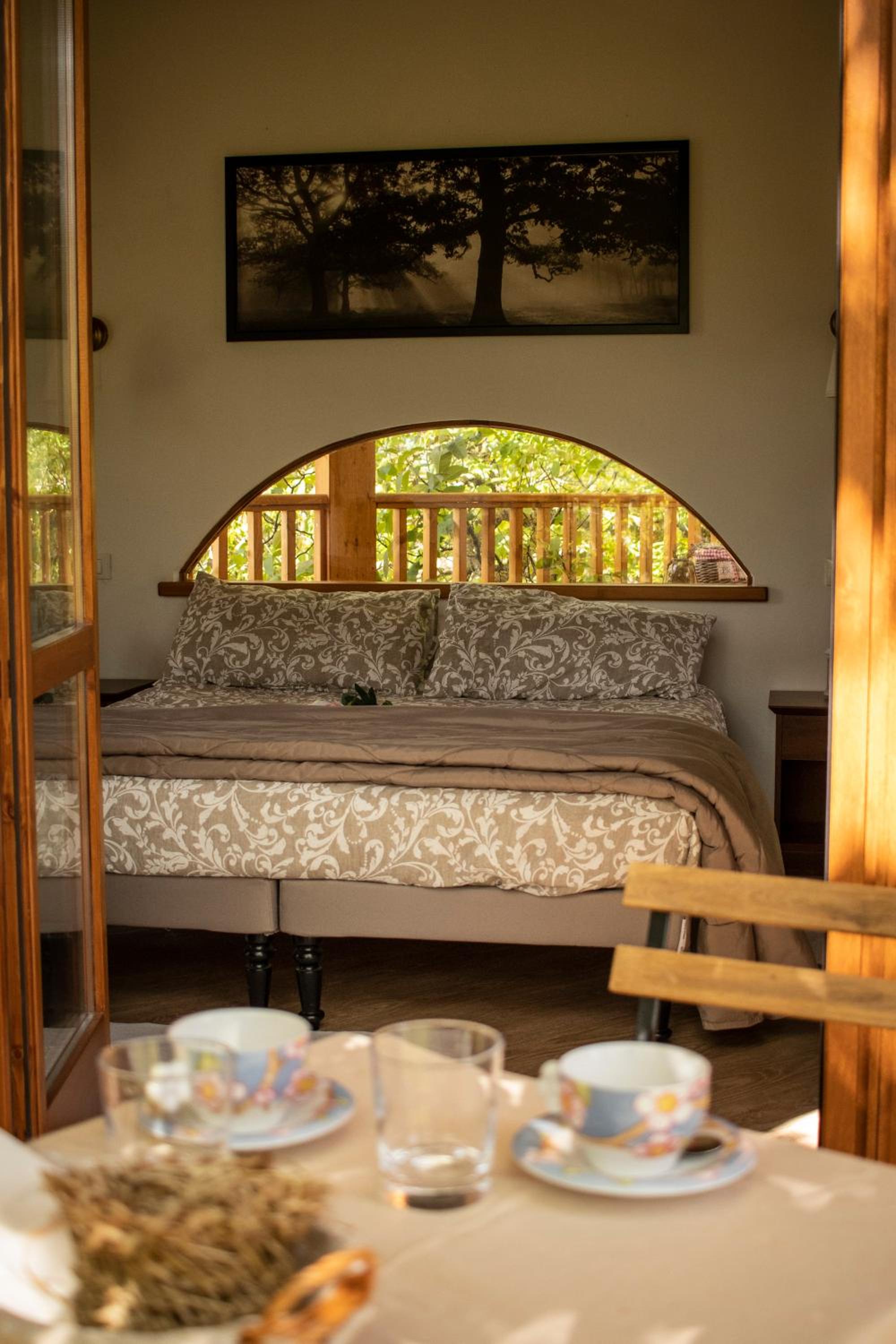Superior Double Room photo 1