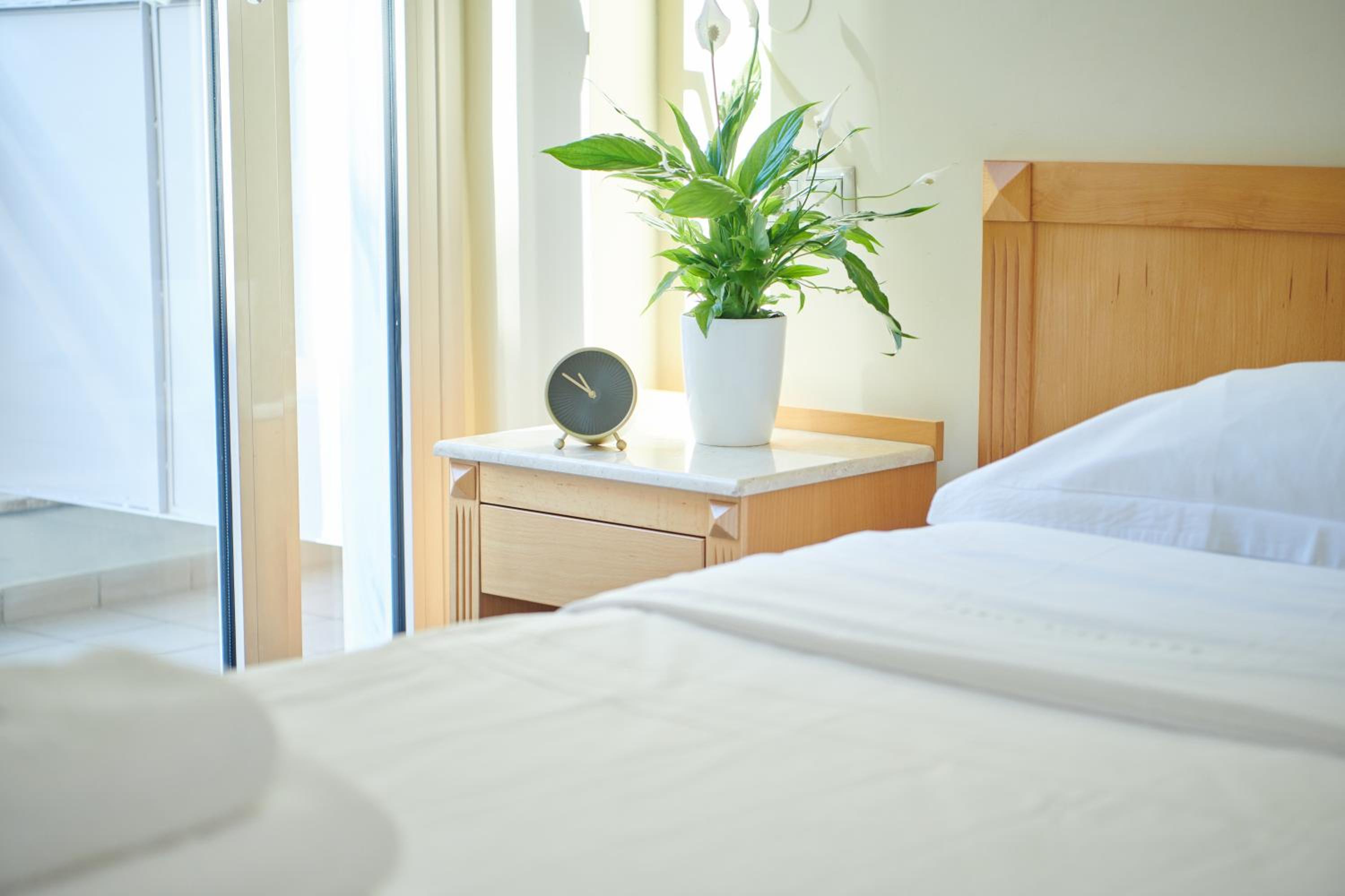 Double Room - Photo 8