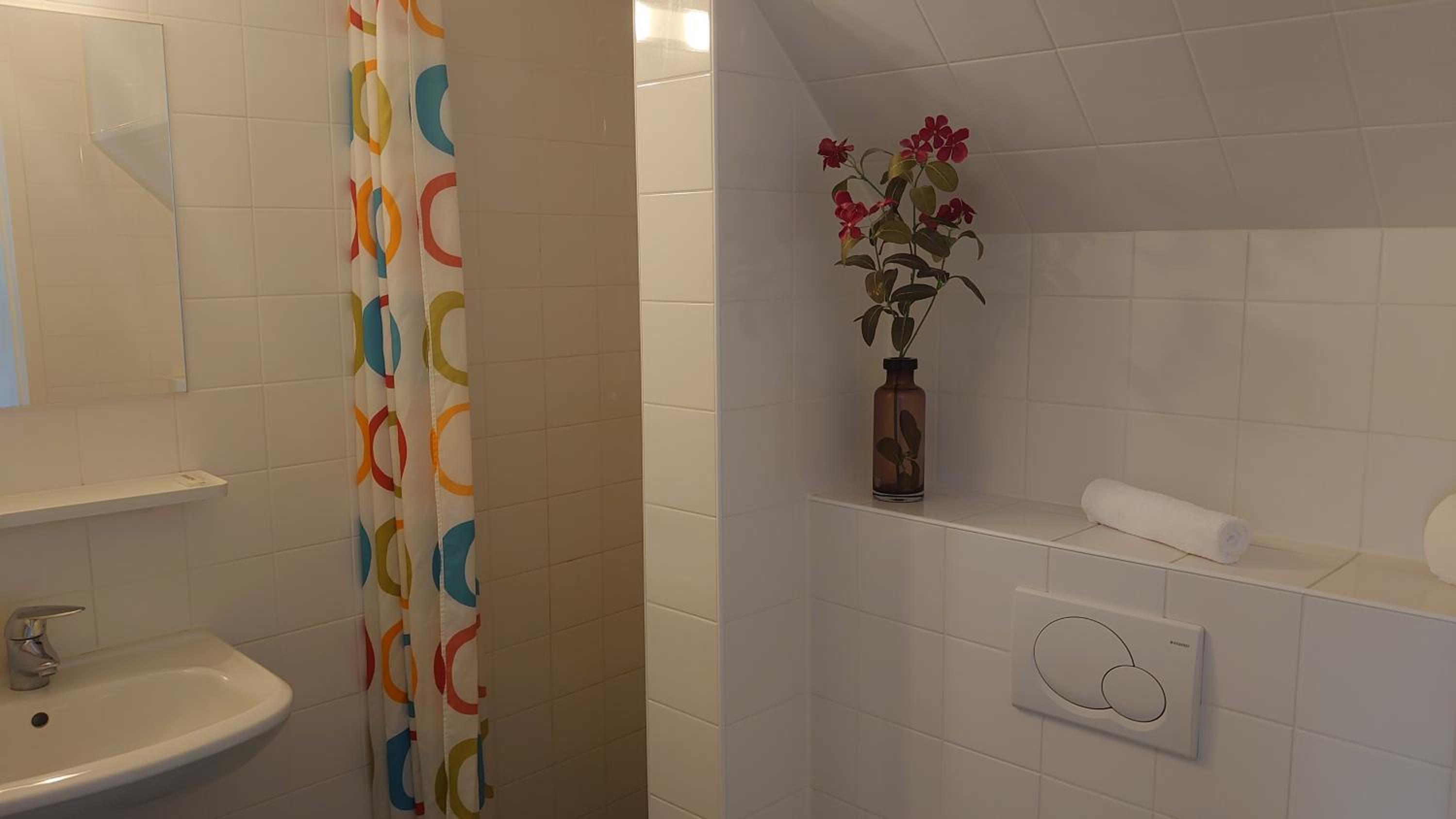 Large Single Room photo 3