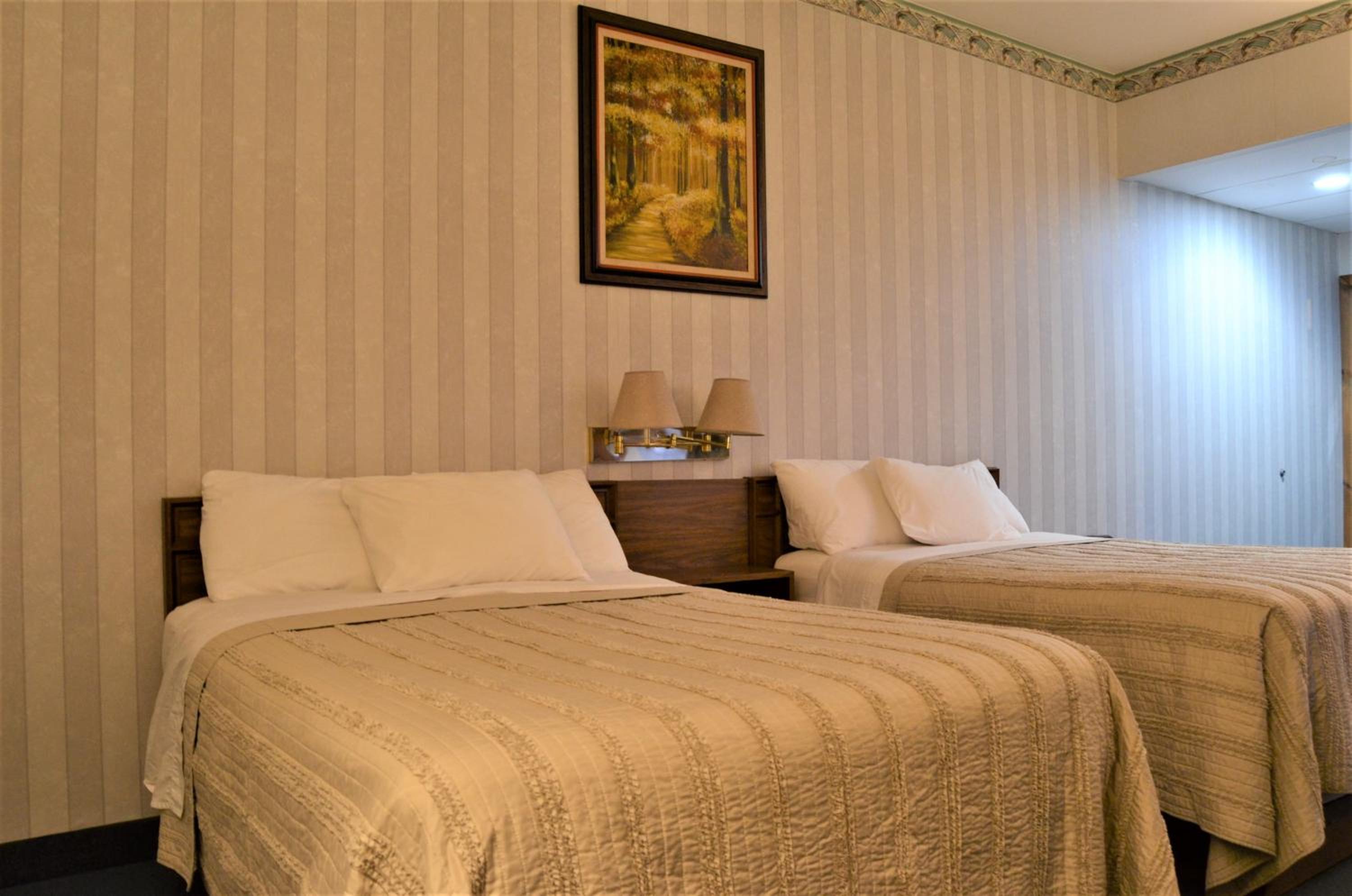 Double Room - Disability Access photo 3