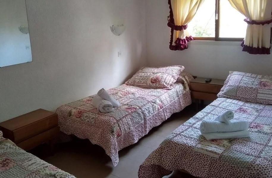Basic Triple Room photo 1