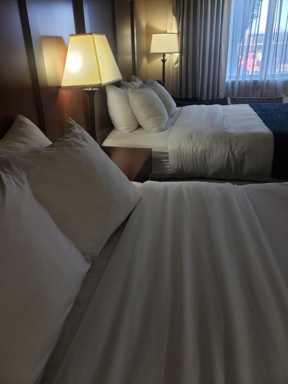 Queen Room with Two Queen Beds - Non-Smoking - Photo 1