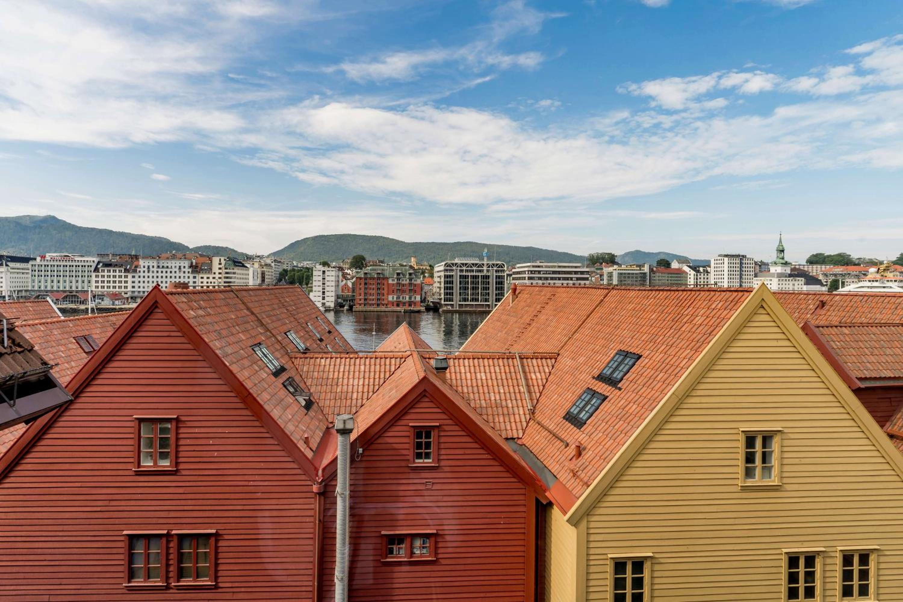 Suite - Photo 2