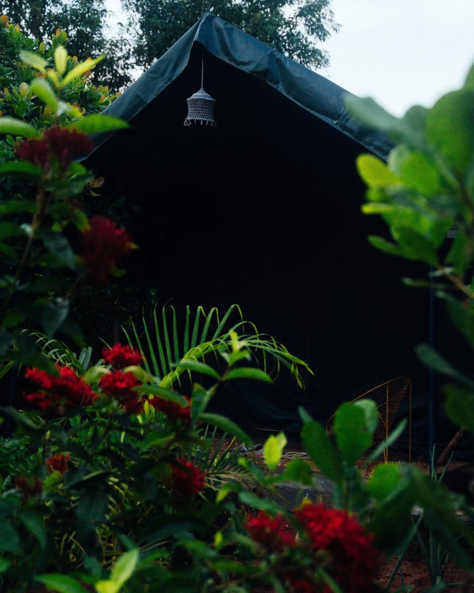 Tent photo 1