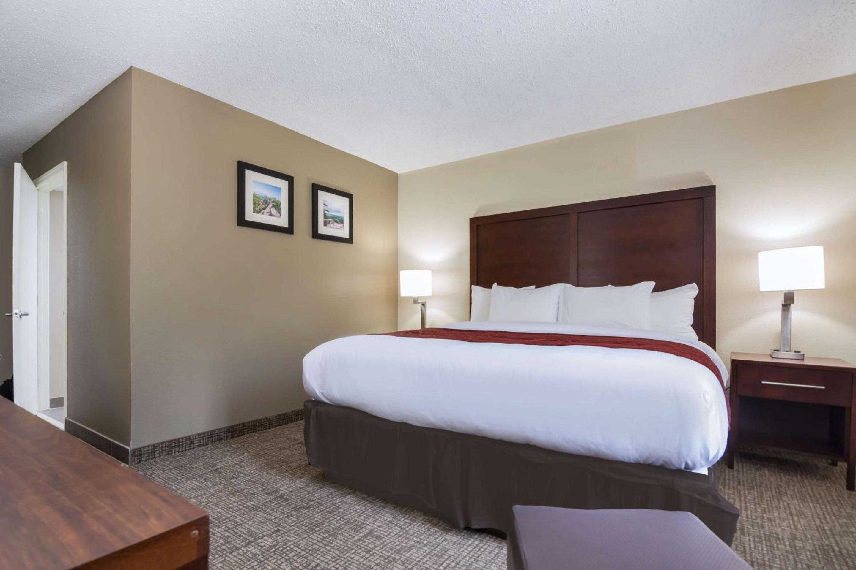 King Room - Accessible/Non-Smoking photo 2