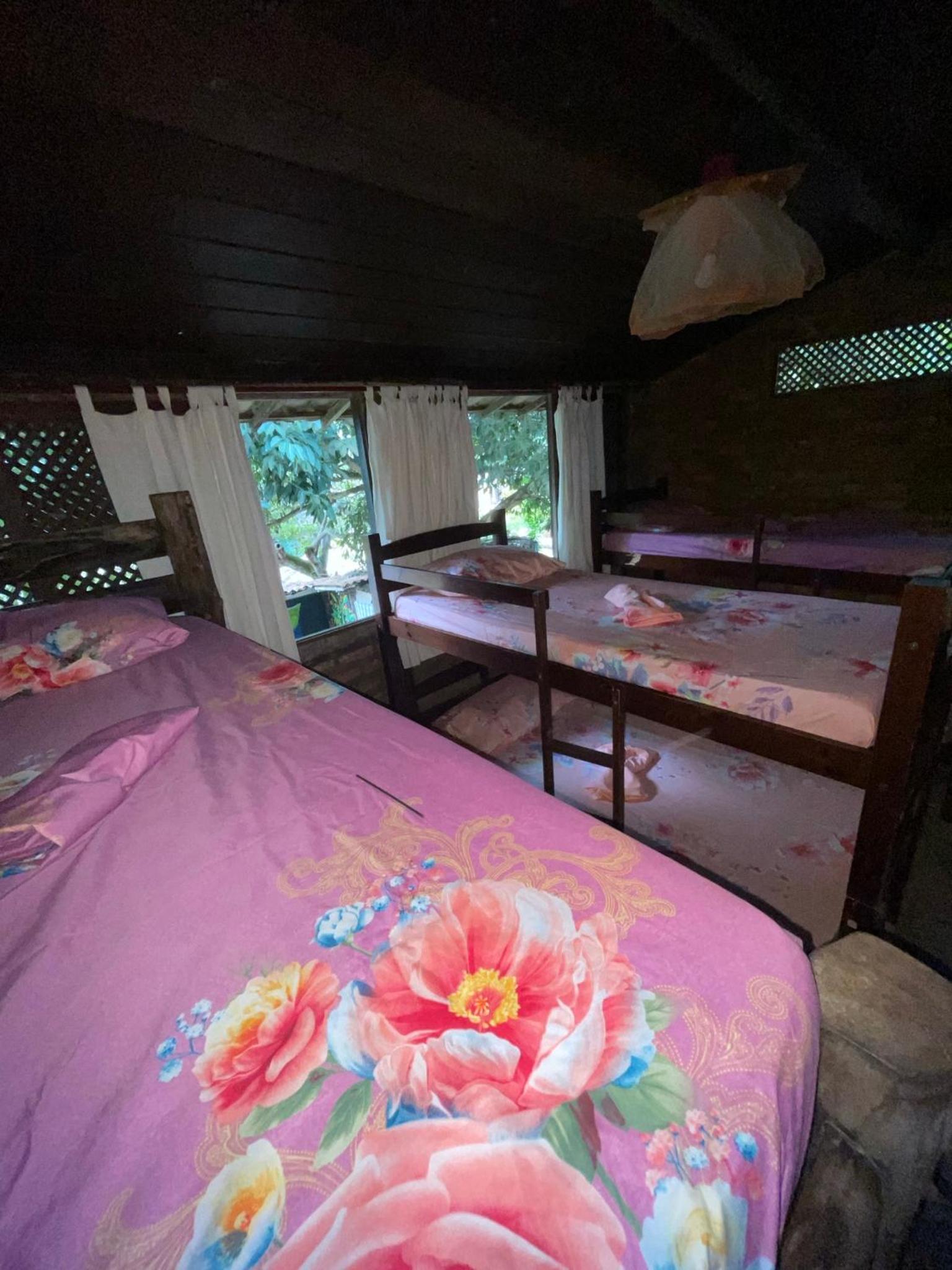 Bed in 6-Bed Female Dormitory Room photo 1