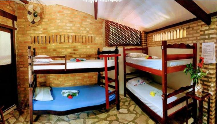 Bed in 6-Bed Mixed Dormitory Room photo 1