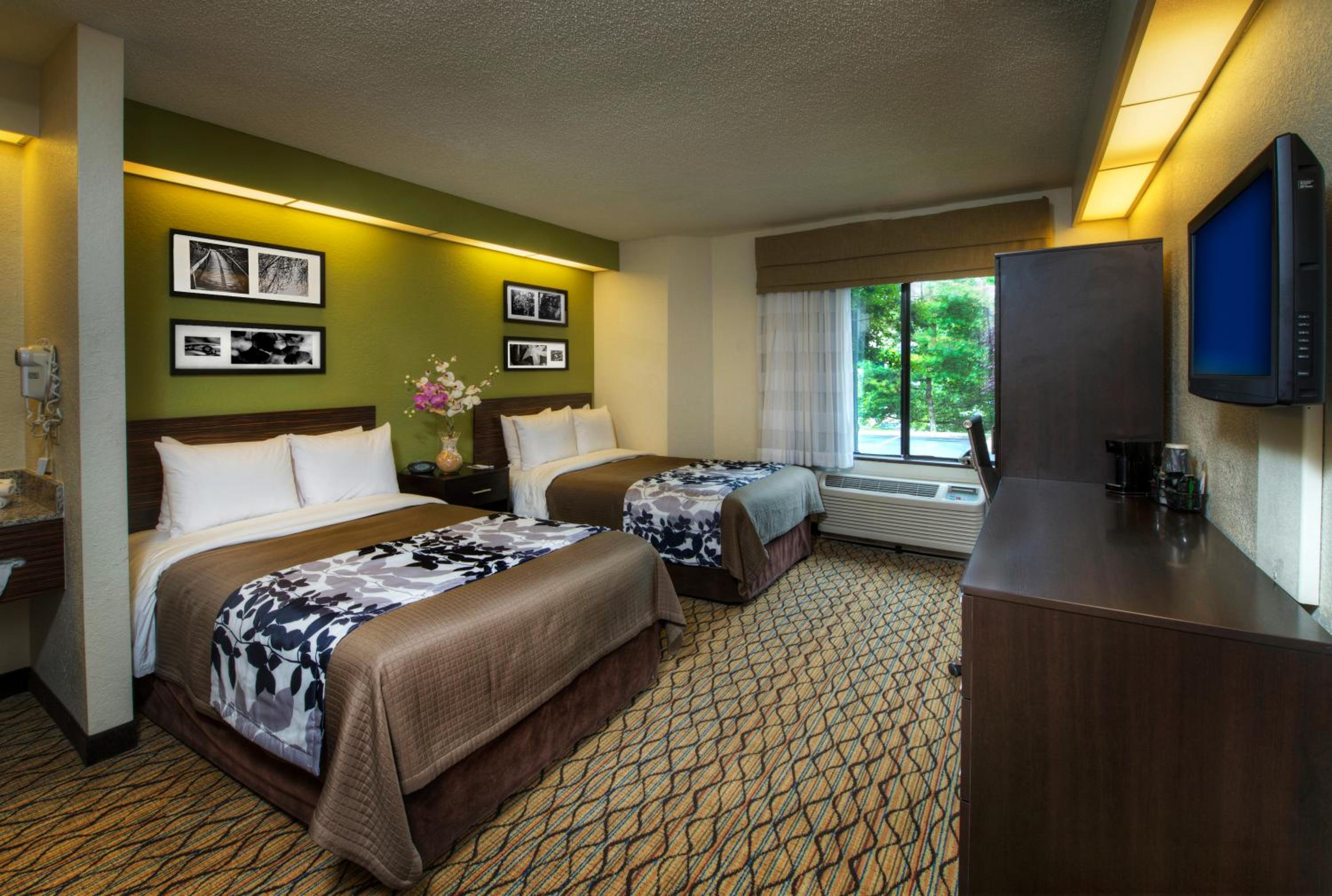 Standard Double Room - Photo 2