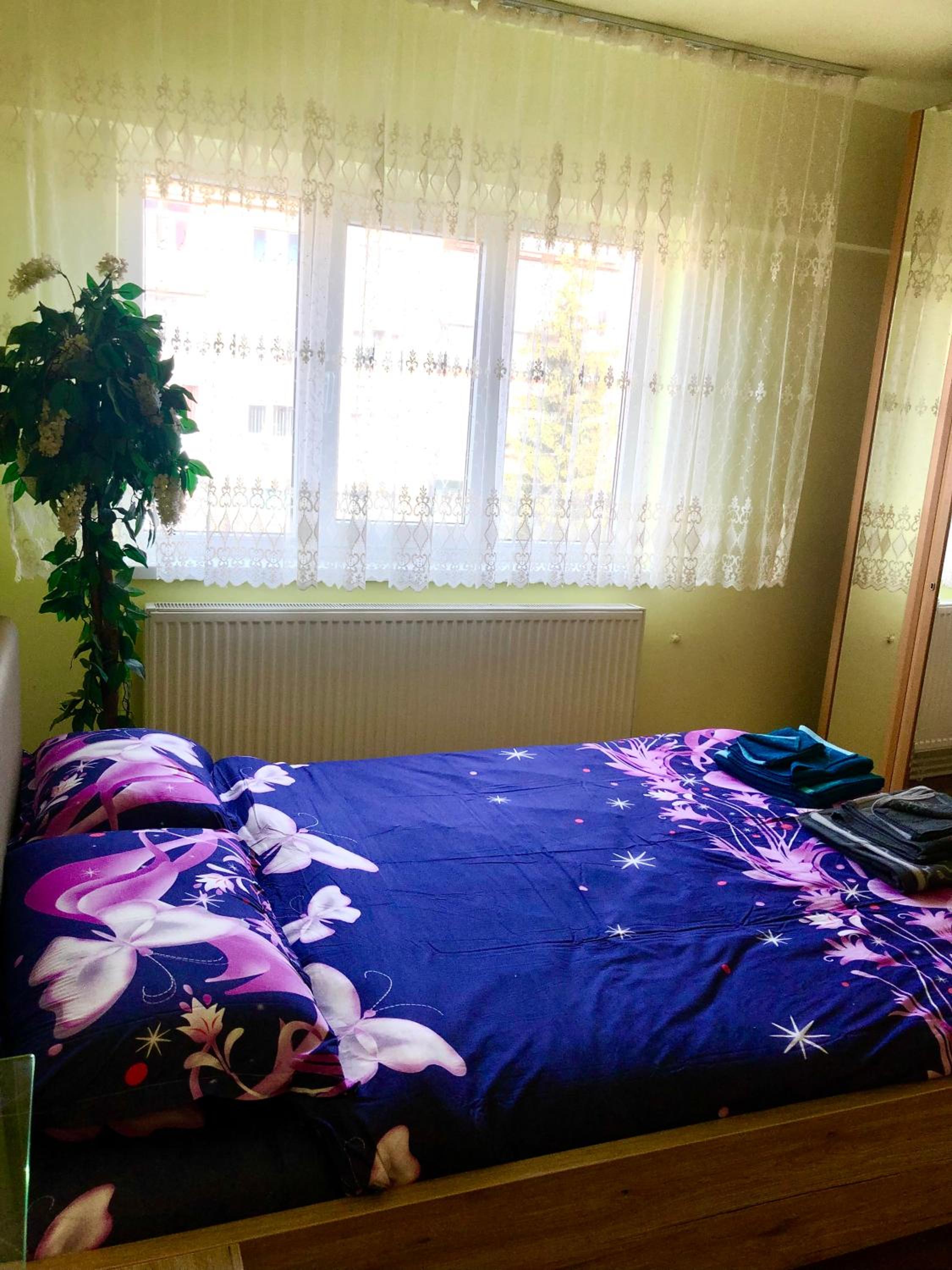 Apartment - Photo 21