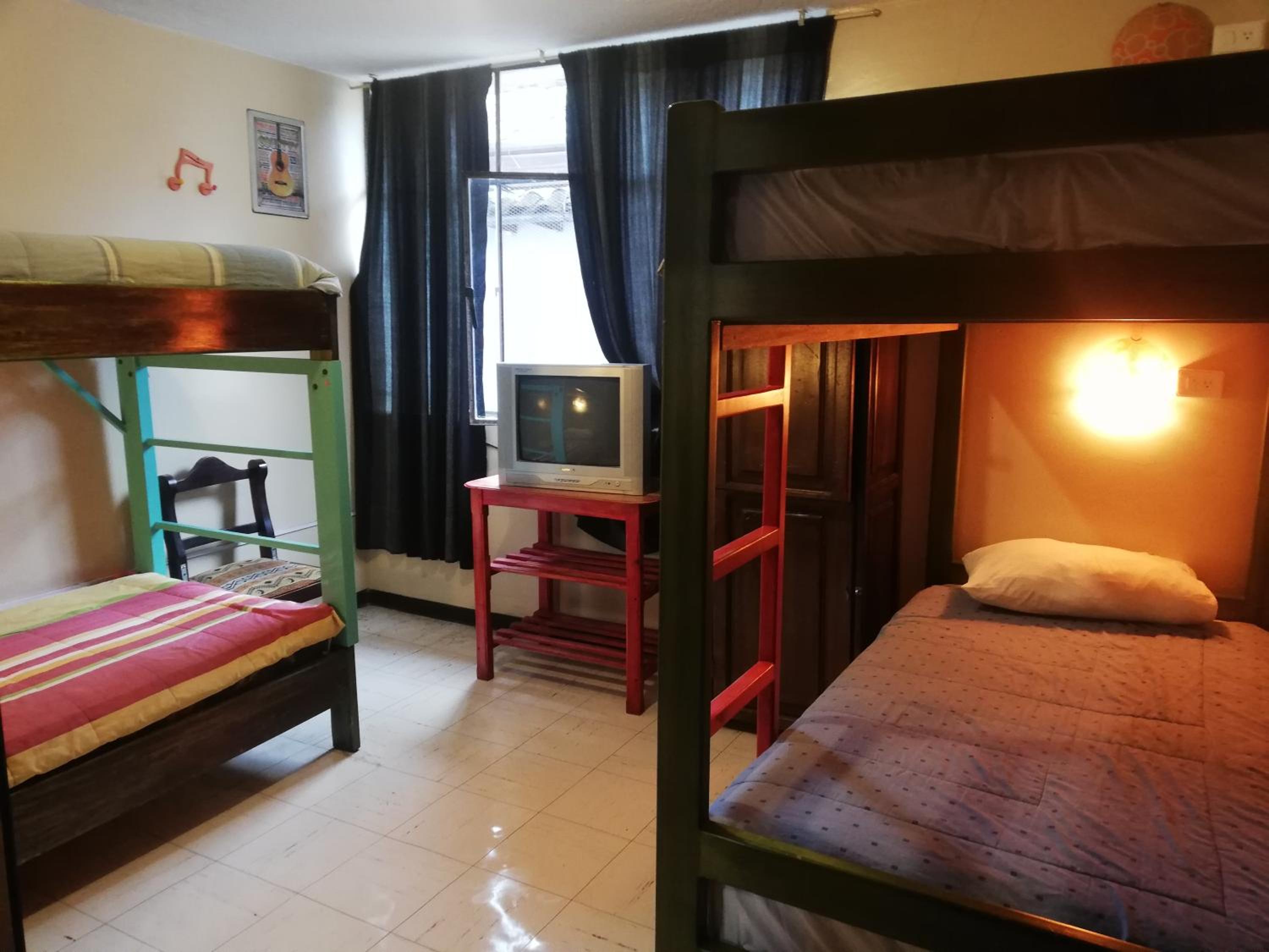 Single Bed in Mixed Dormitory Room photo 1