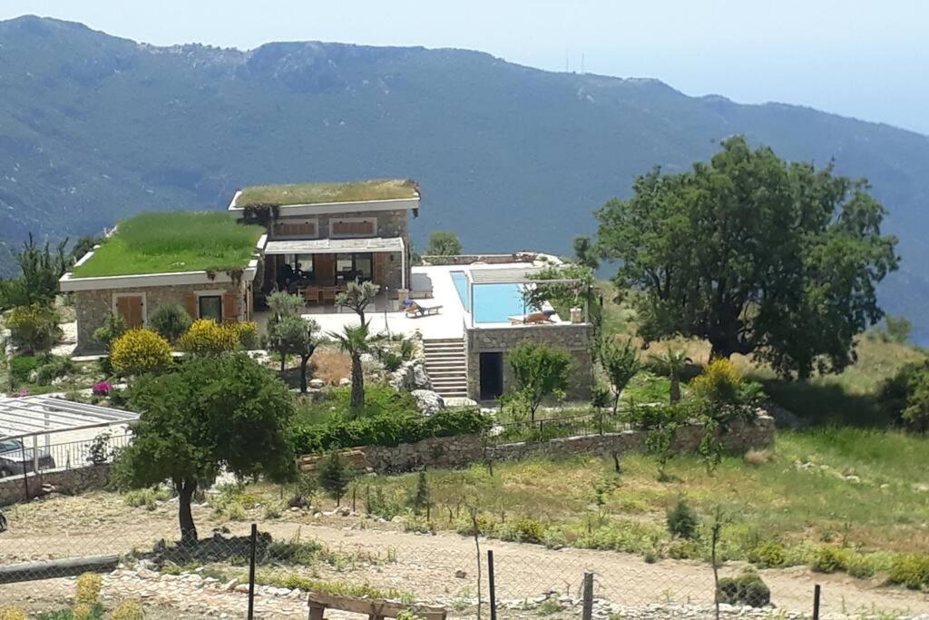 Villa photo 3