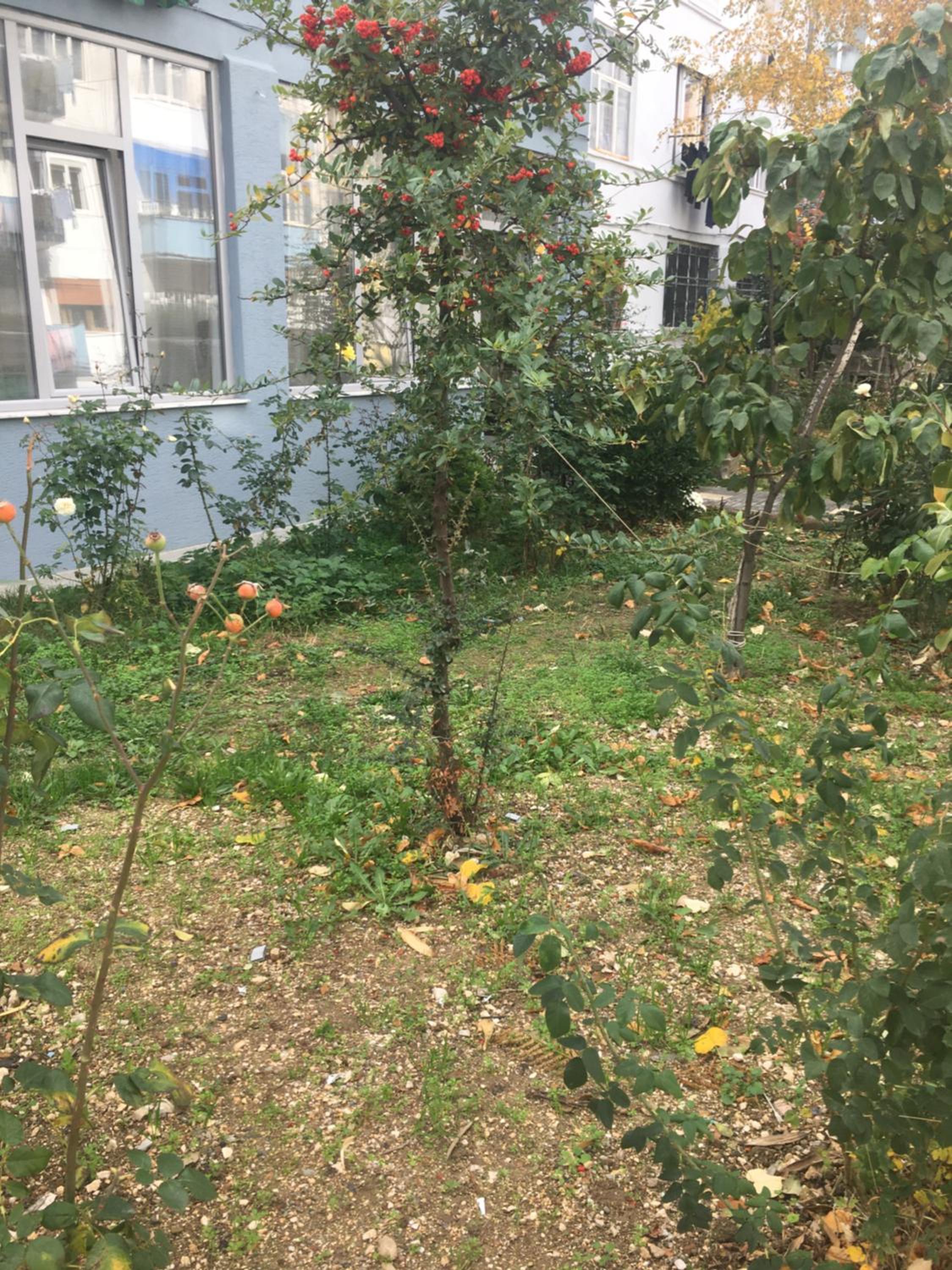 Two-Bedroom Apartment with Garden View photo 2