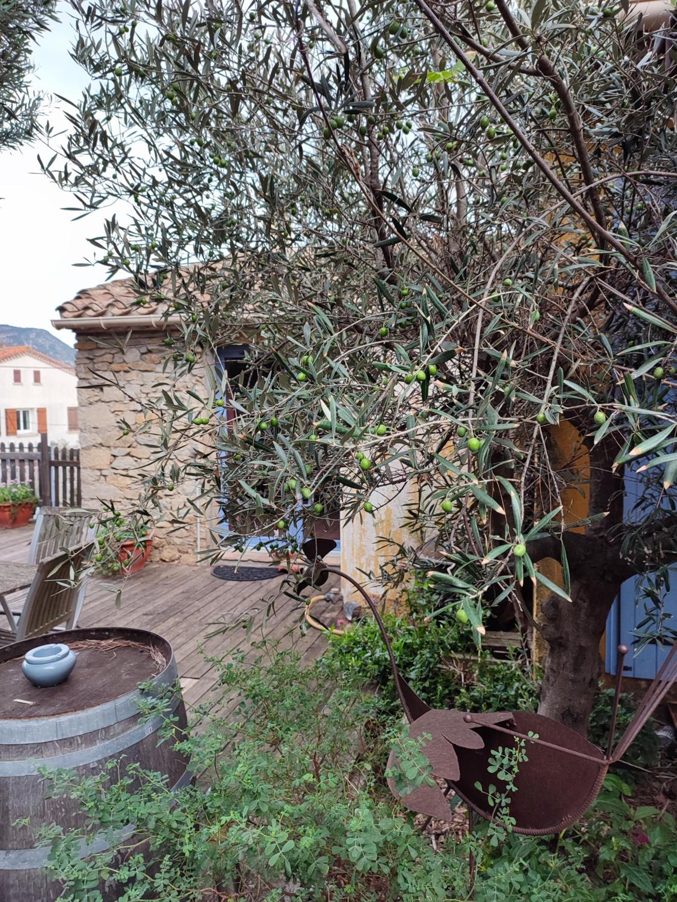 Double Room - Photo 4
