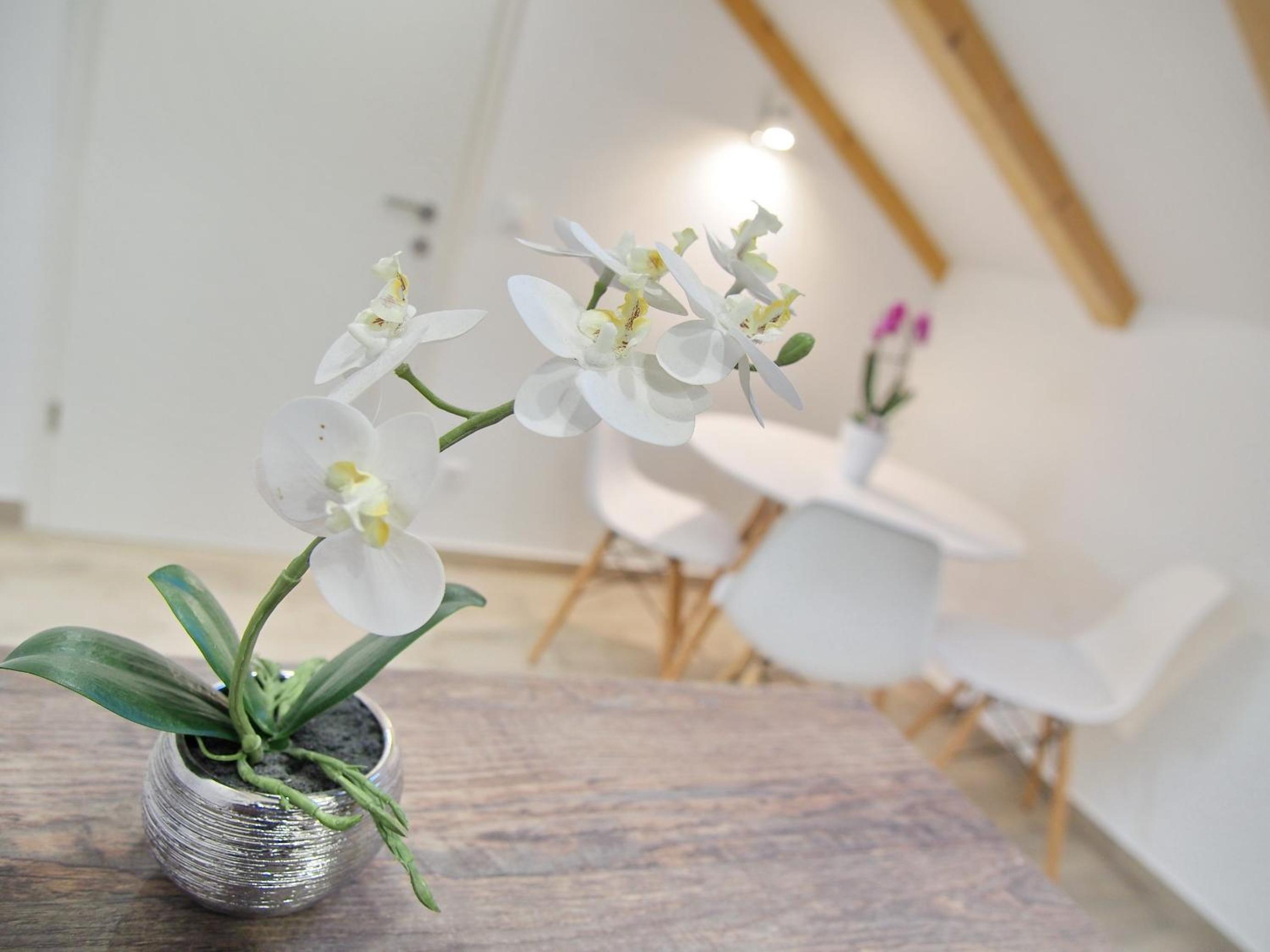 Studio Apartment with Terrace and Sea View photo 2