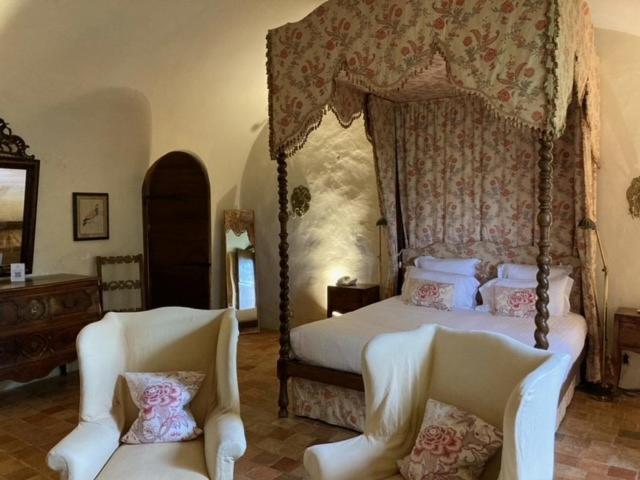 Suite Jardin photo