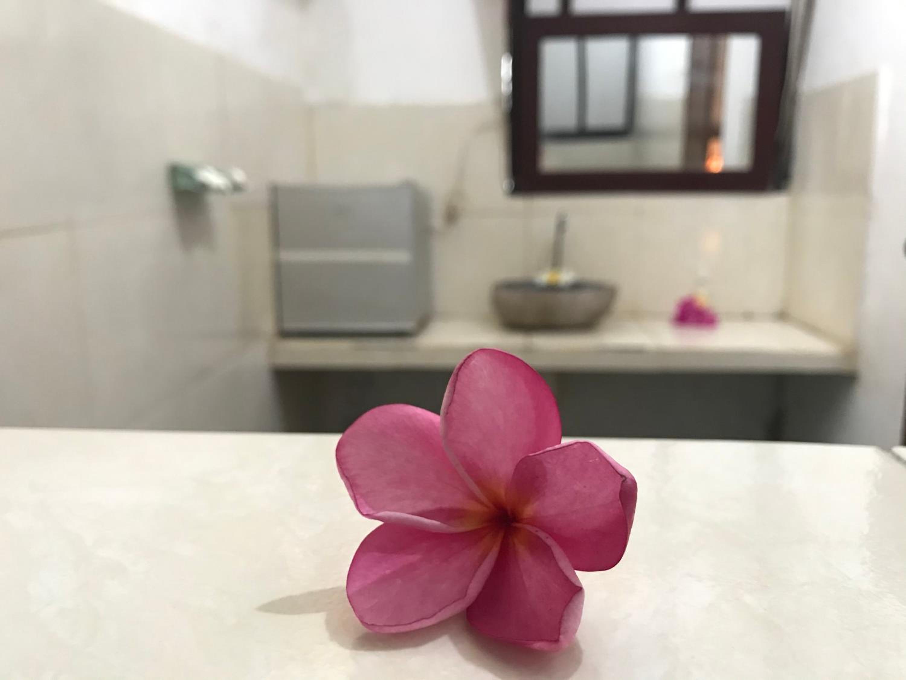 Bungalow - Photo 15