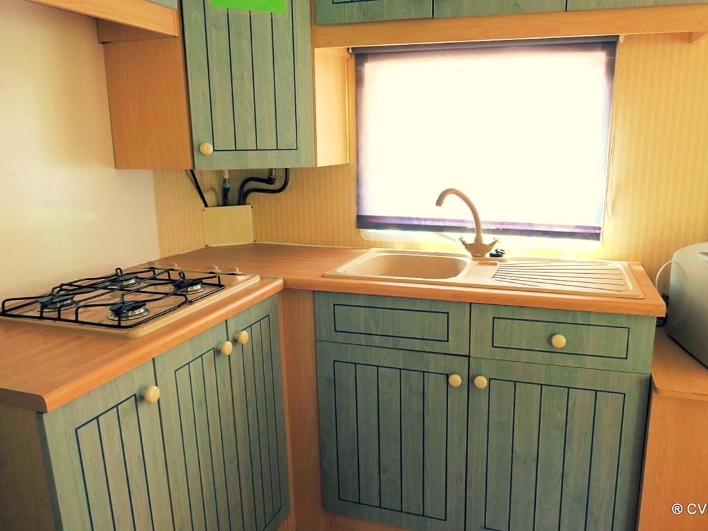 Mobile Home photo 2