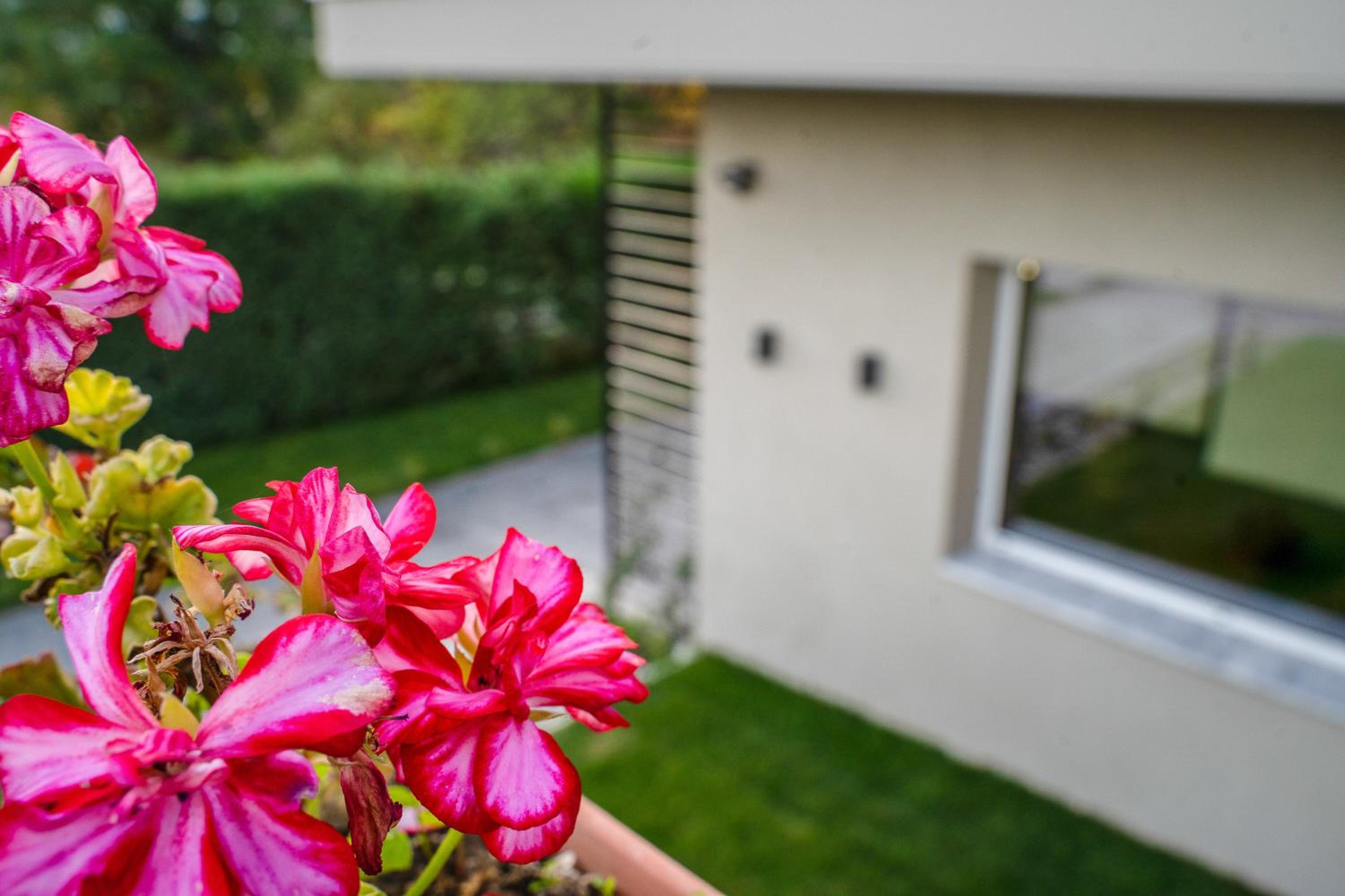 Standard Villa - Photo 27