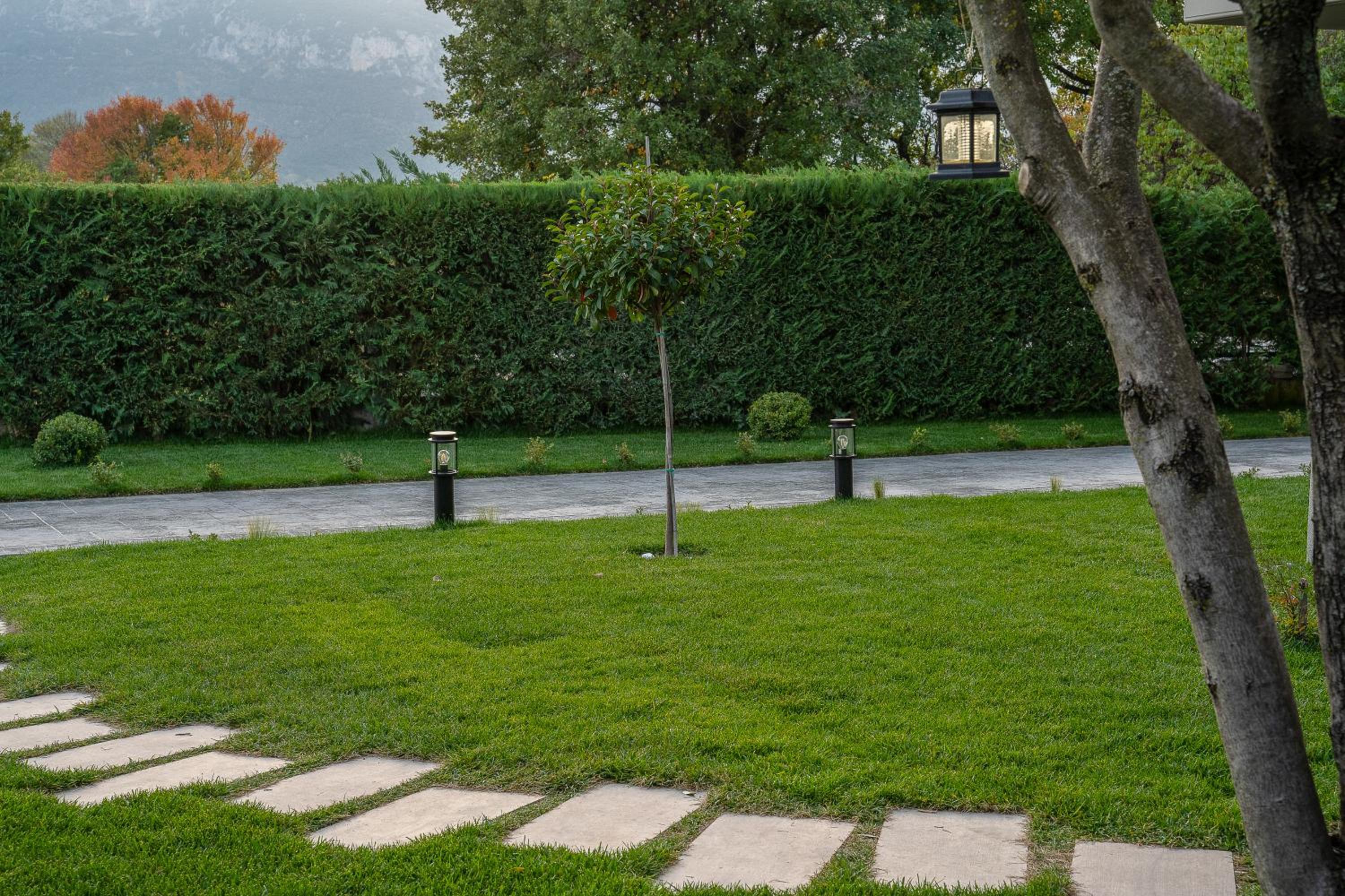 Standard Villa - Photo 39