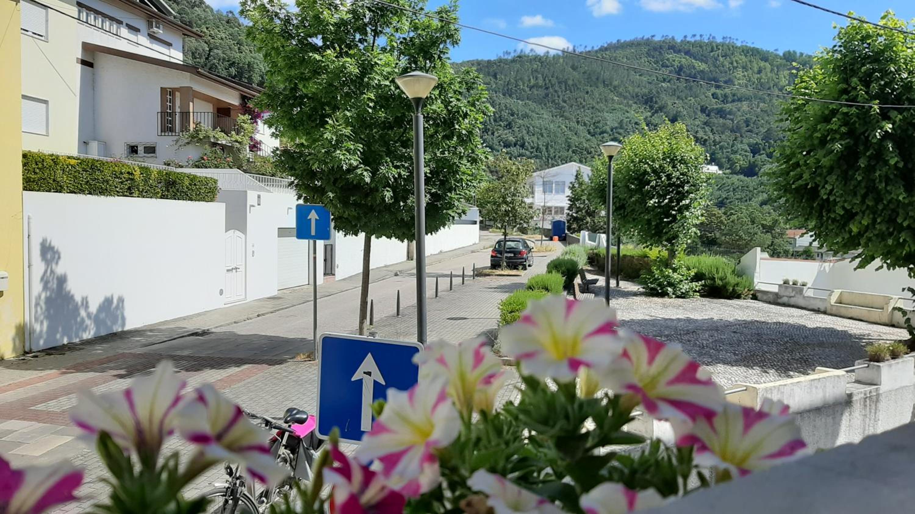 Apartment with Mountain View - Photo 13
